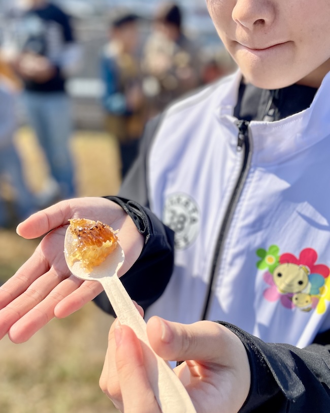 まちなか採蜜体験ツアー🍯✨