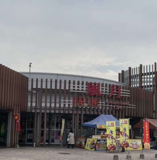 野鳥とグルメ　『熊本探訪編　1日目　昼 カワセミと　そまりあんカレー』