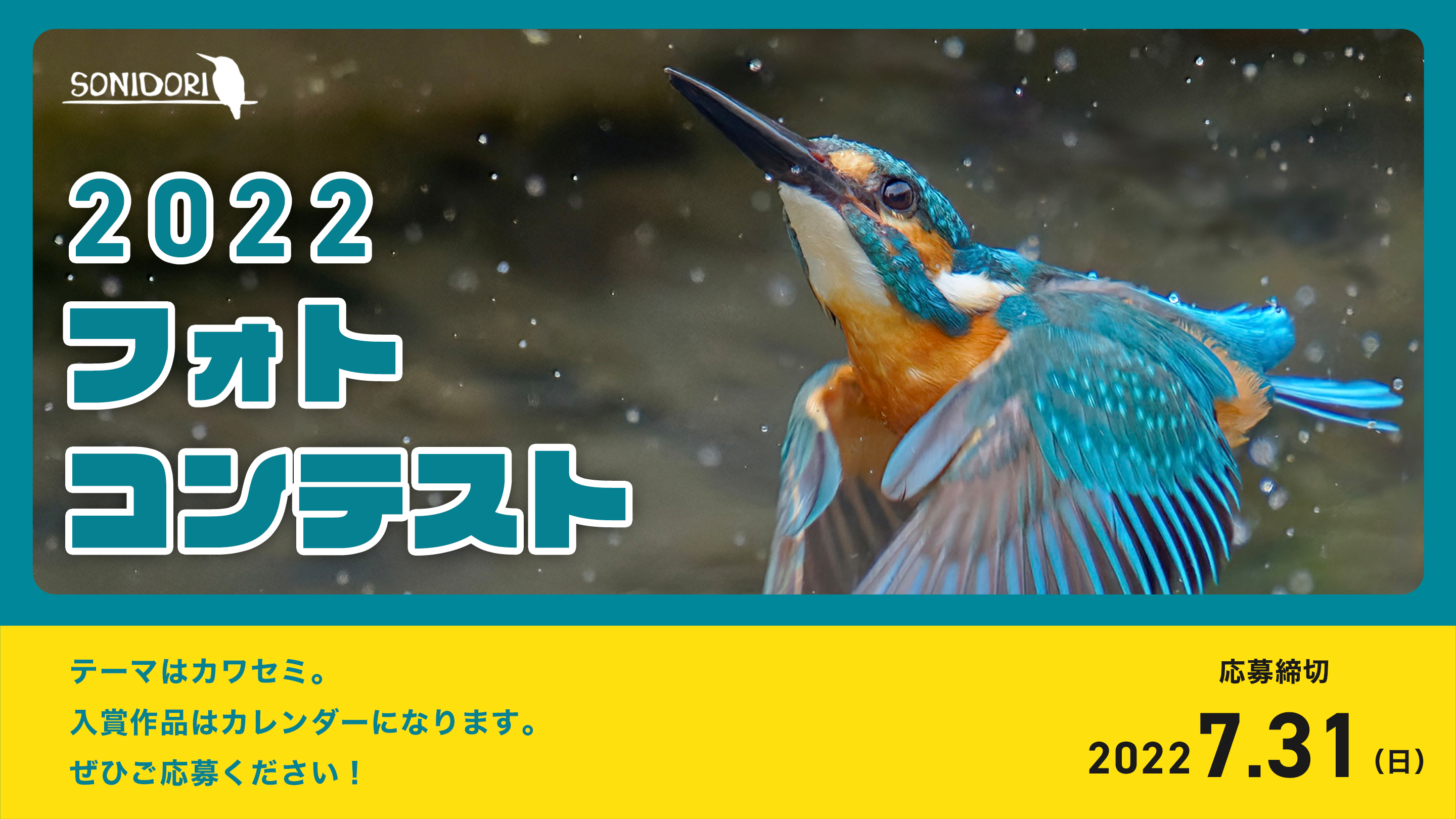 2022年 フォトコンテスト開催！ テーマは「カワセミ」