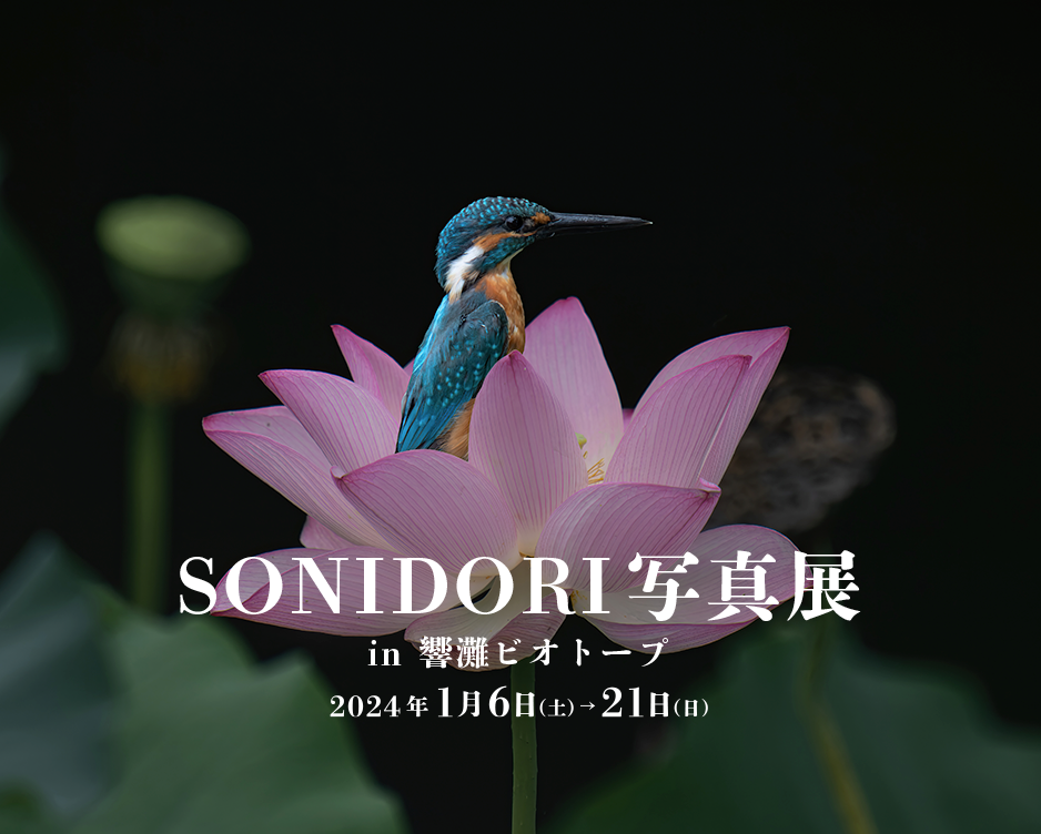 SONIDORI写真展開催のお知らせ 【開催日程 1/6〜1/21】
