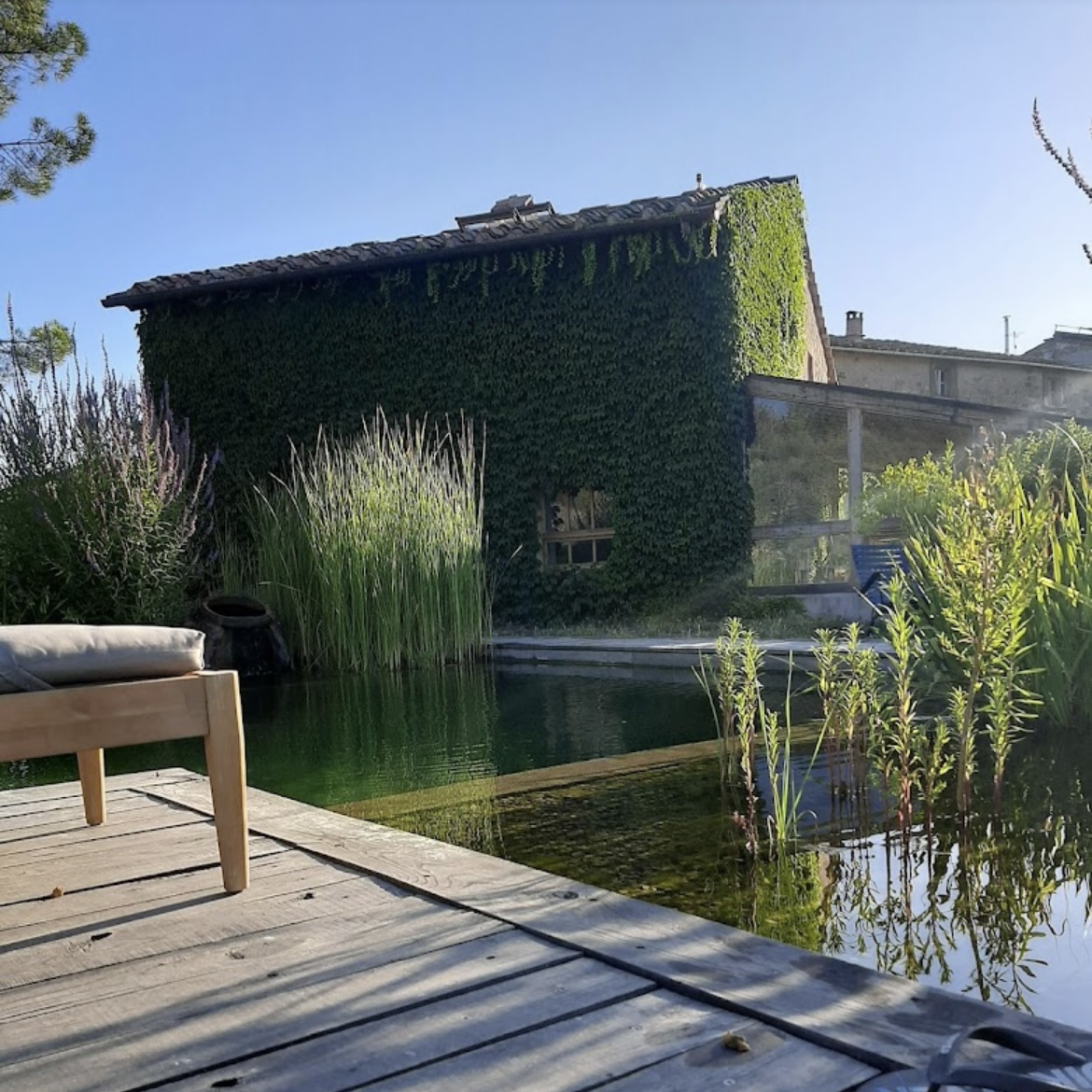 新発売キャンペーン中‼︎トスカーナのオリーブオイル