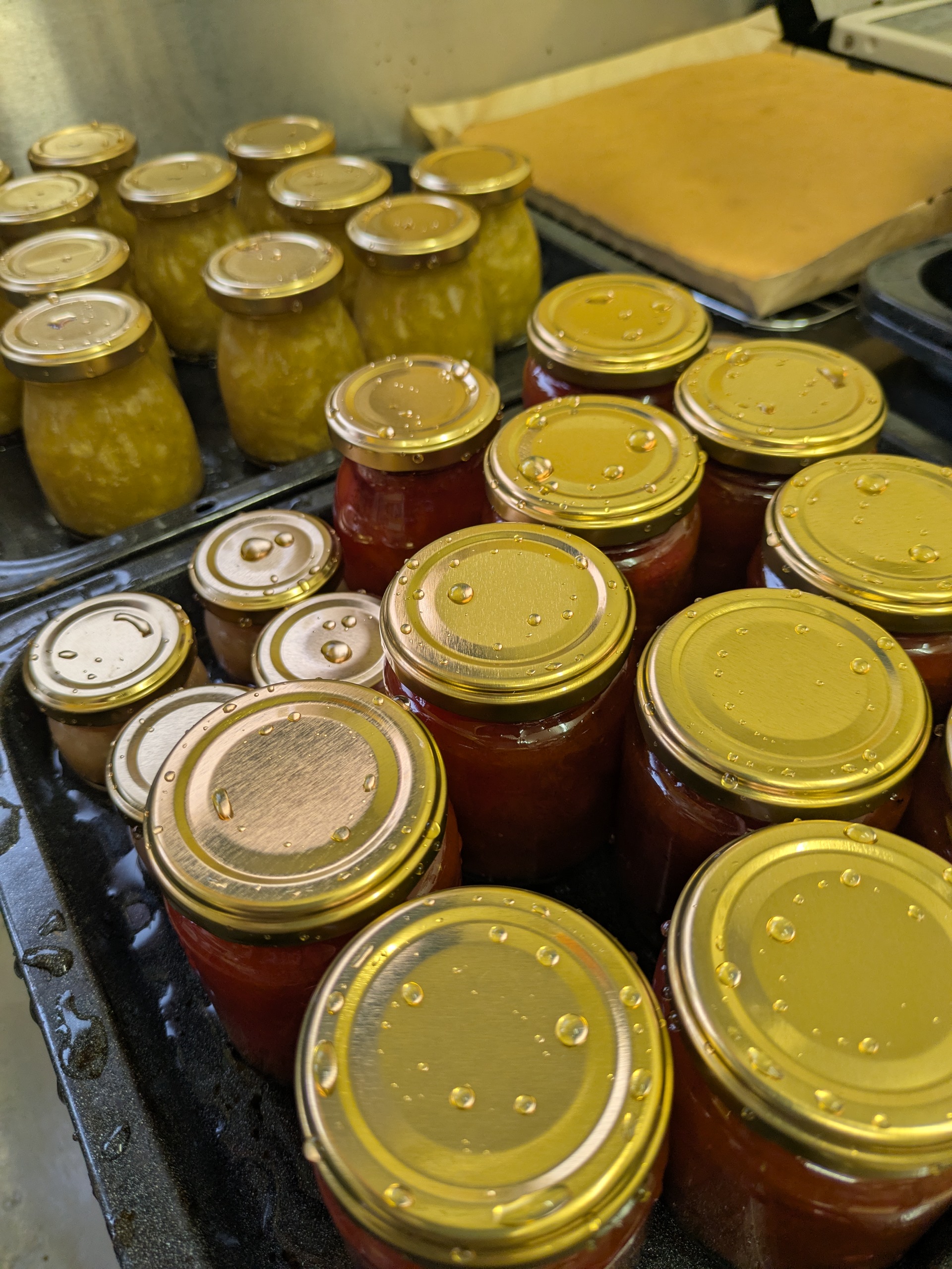 雨天中止により