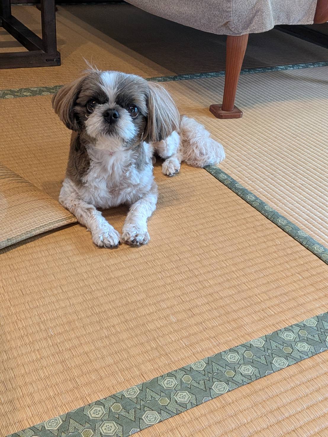 久々にふれあい広場さん
