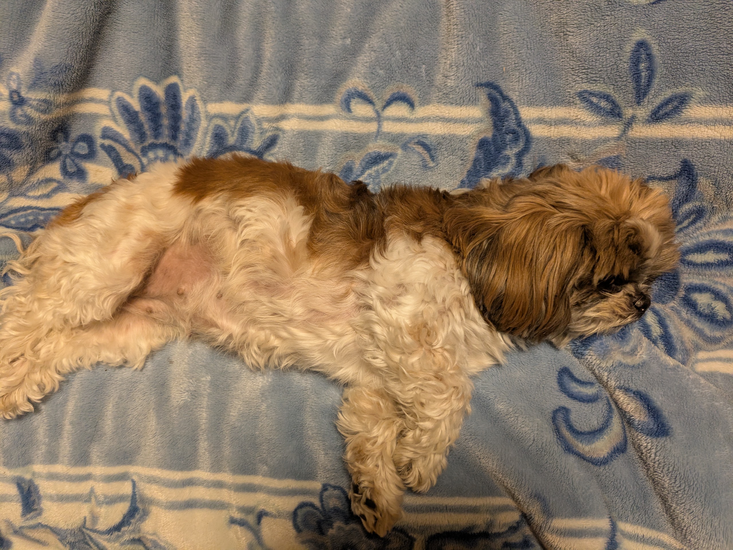 グリップチェンジ