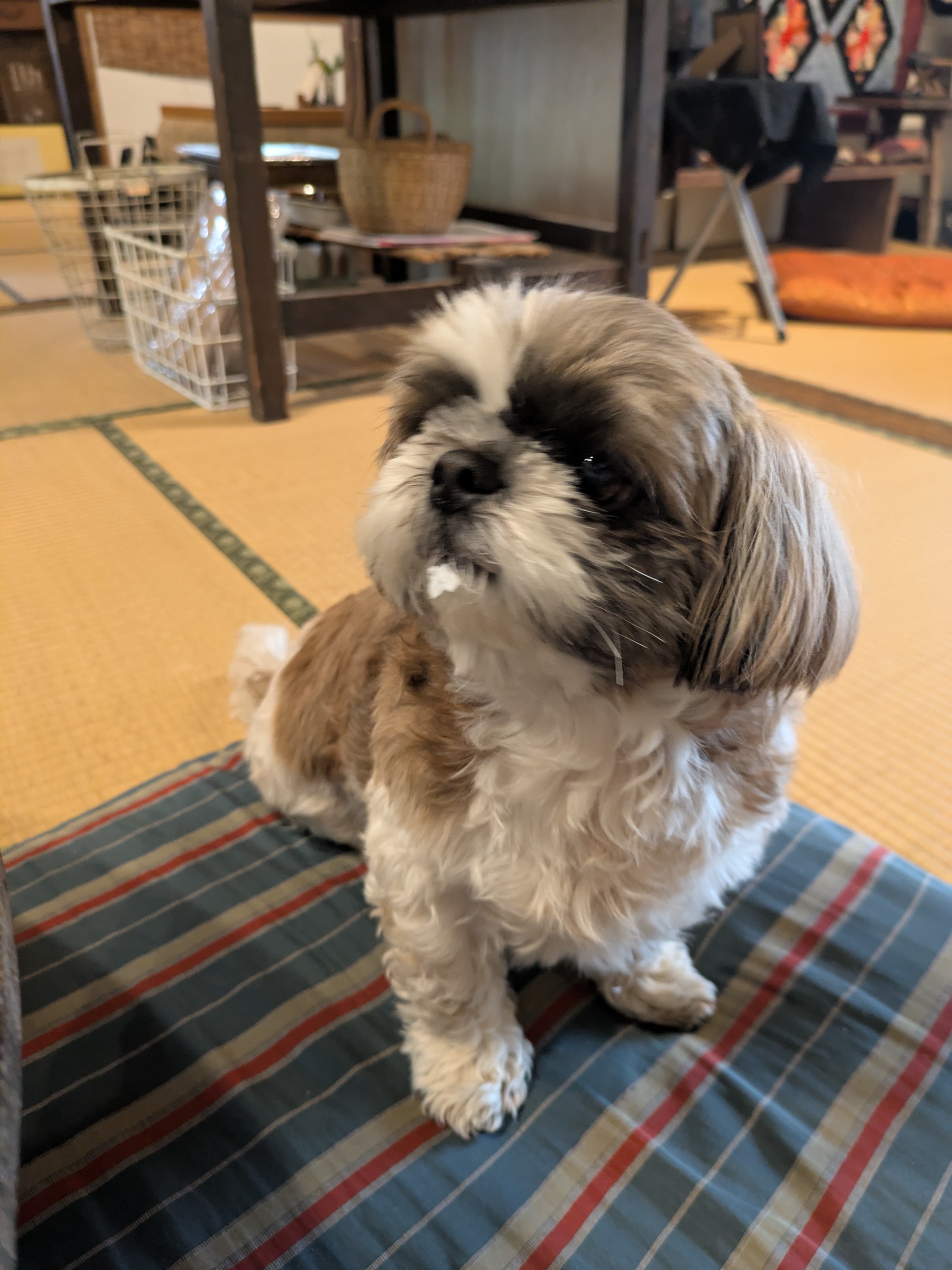 ふれあい広場さんへ納品