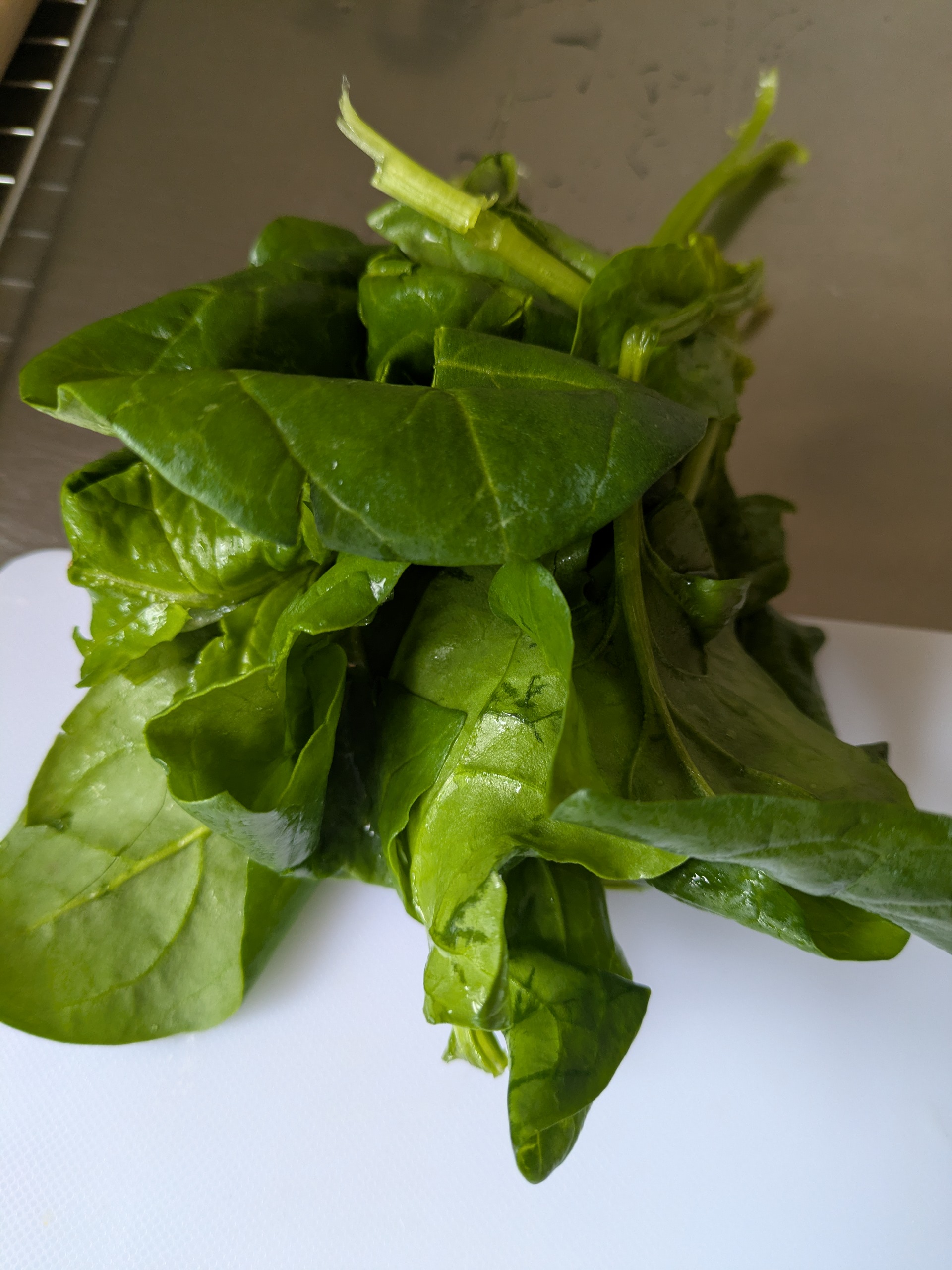 ほうれん草