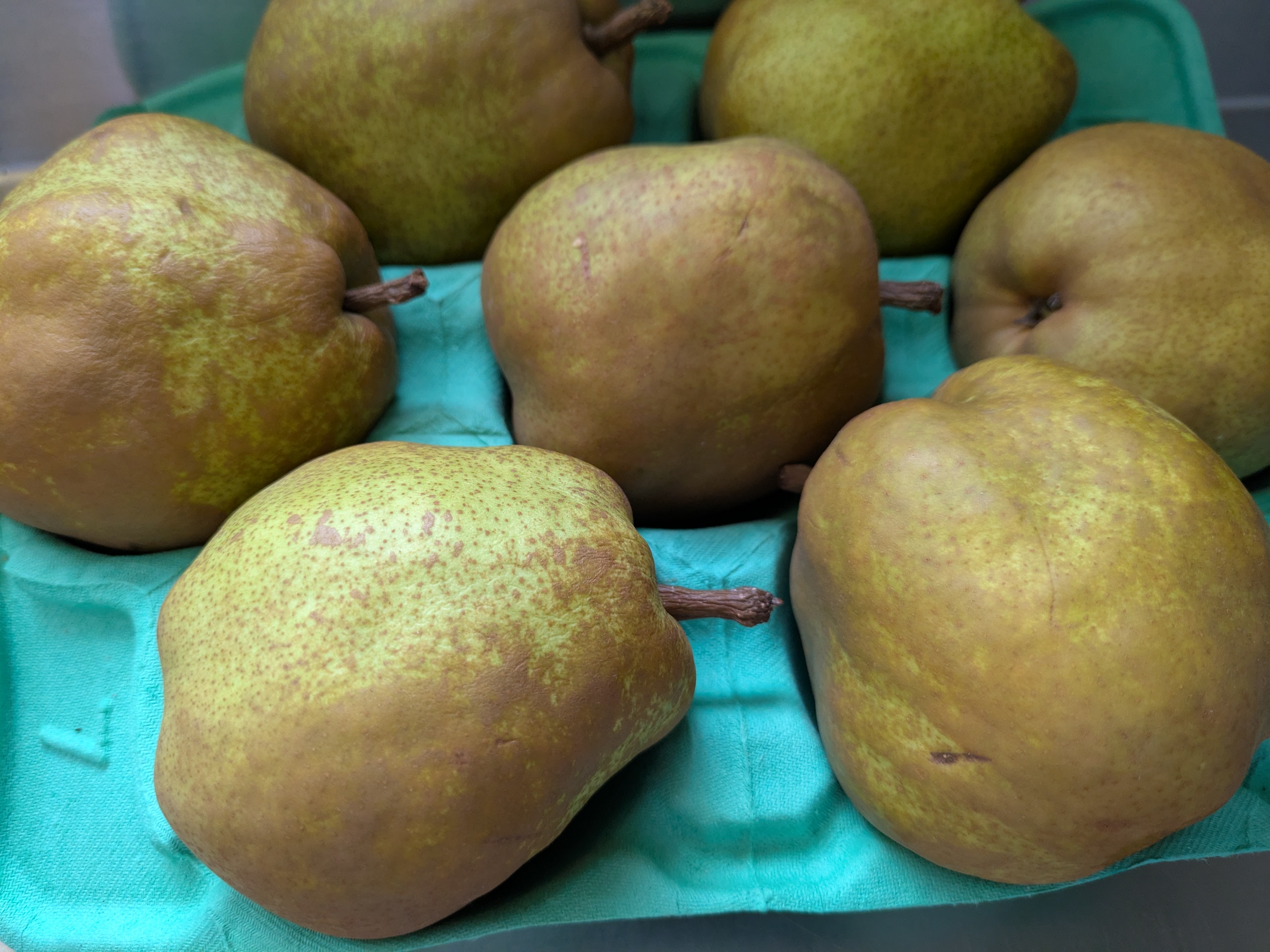 ラ・フランス仕事