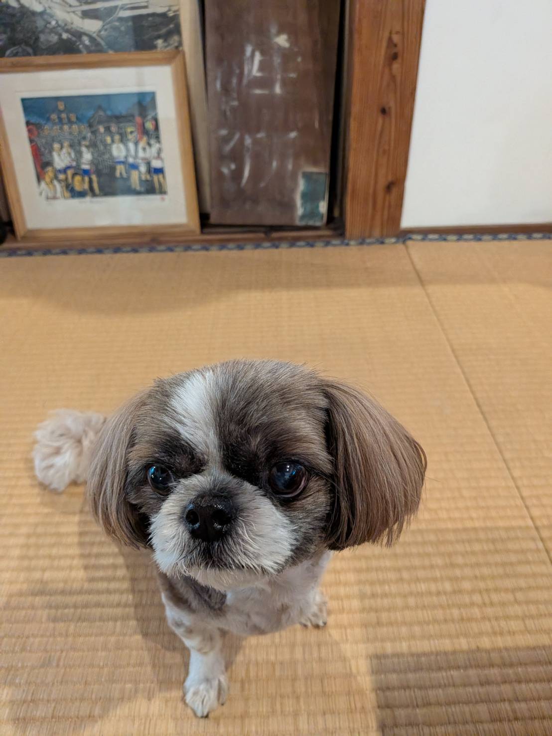 神秘的