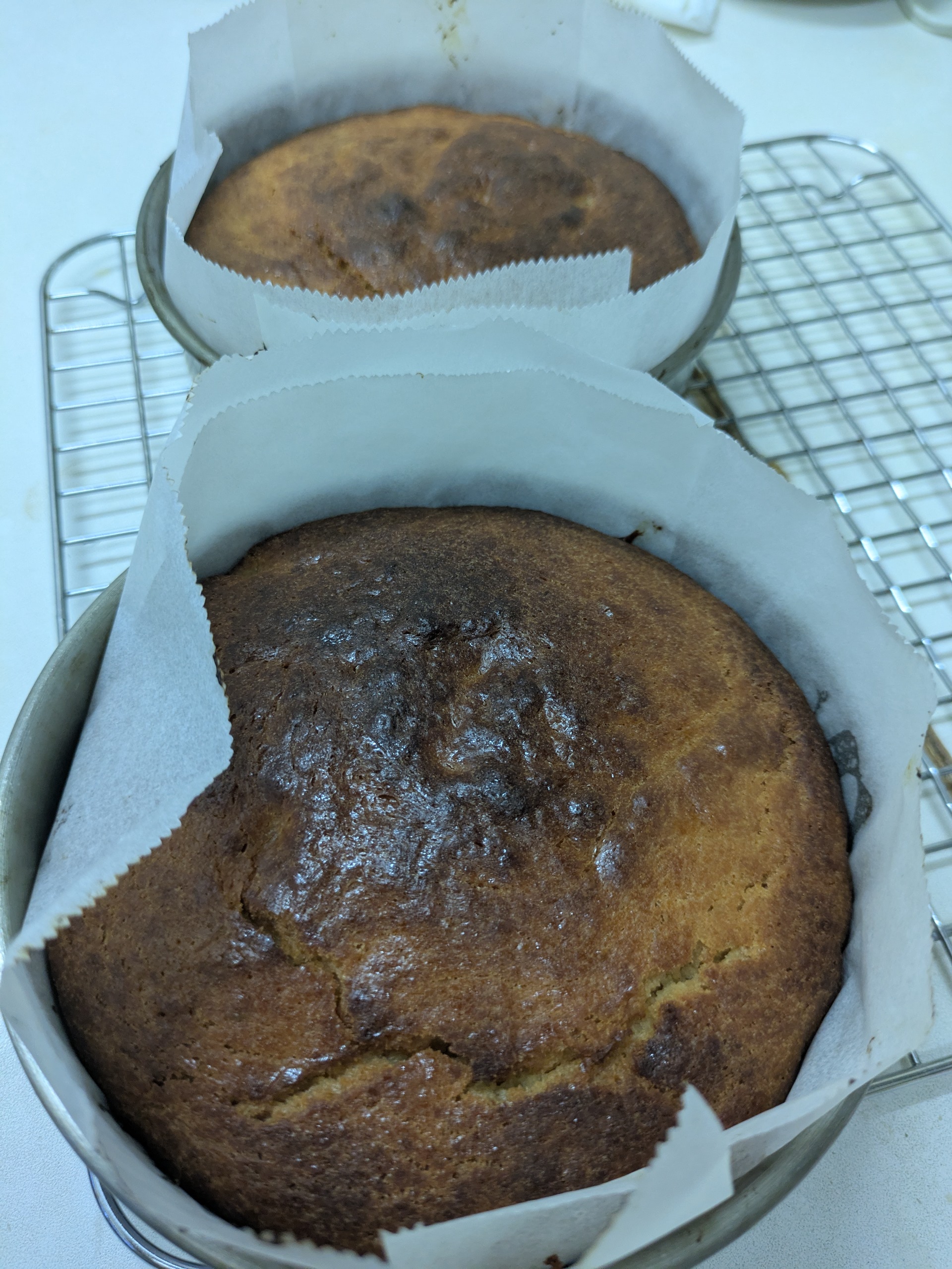 発酵ケーキ