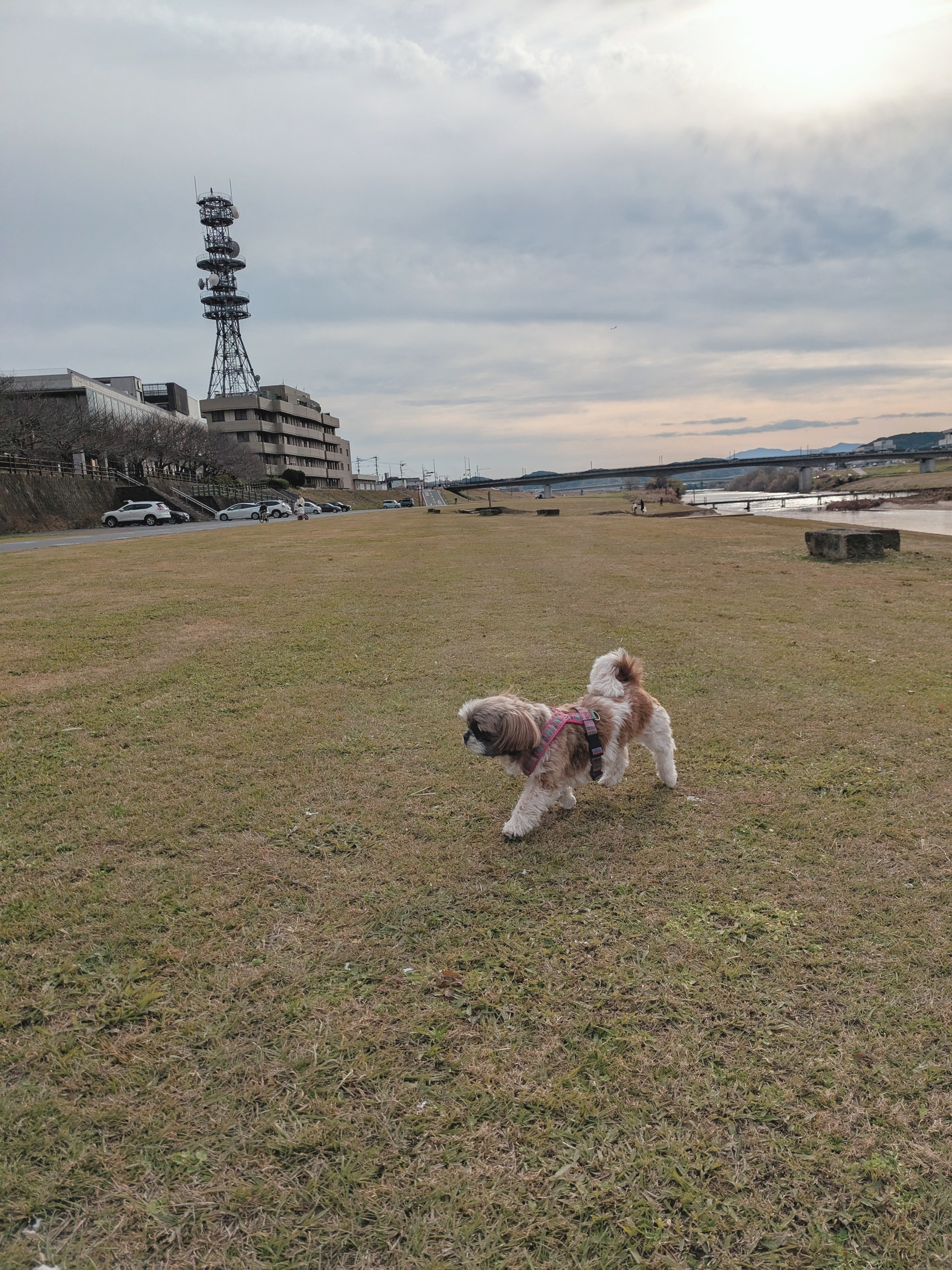 明日からバイト