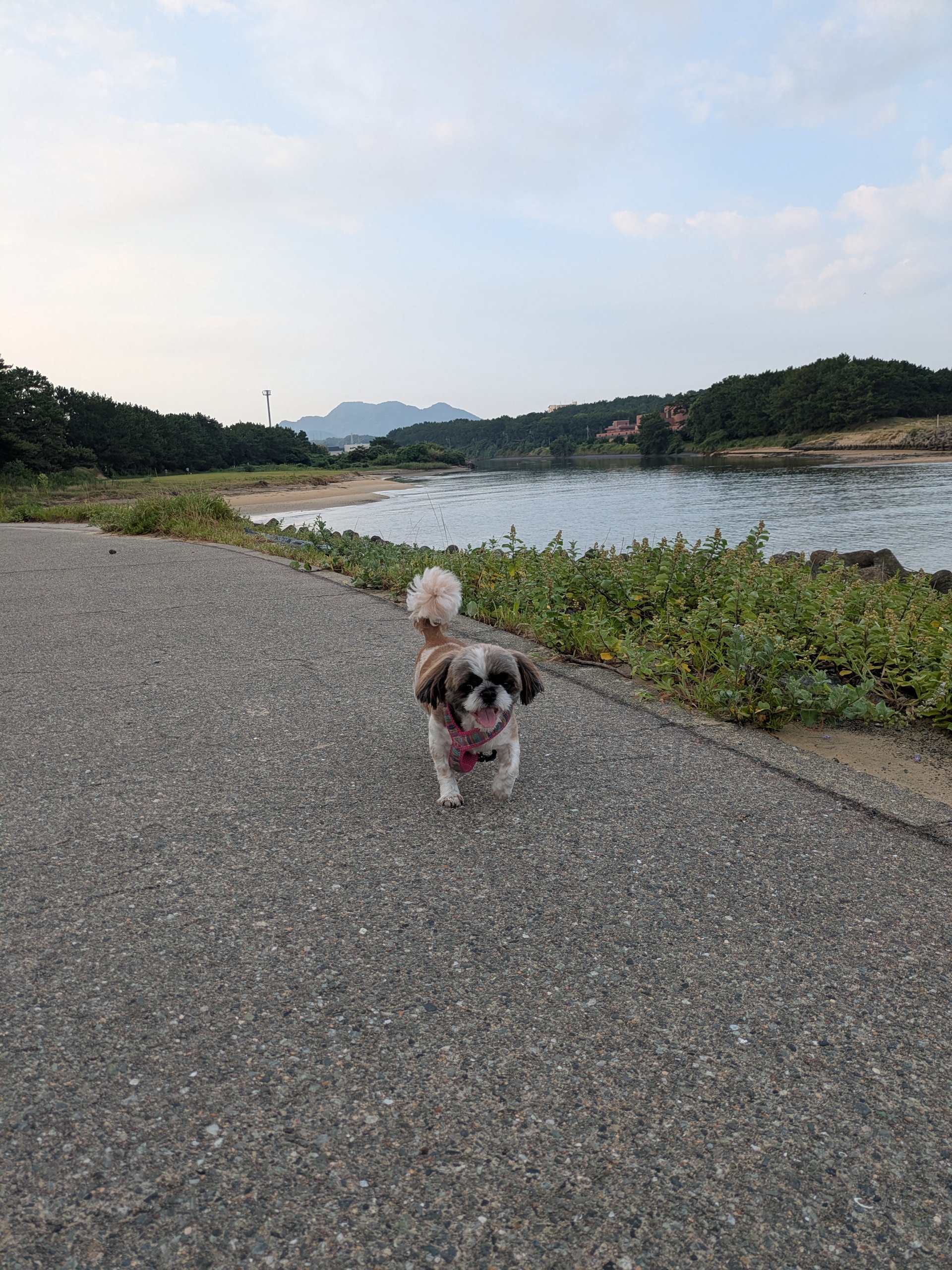 油断