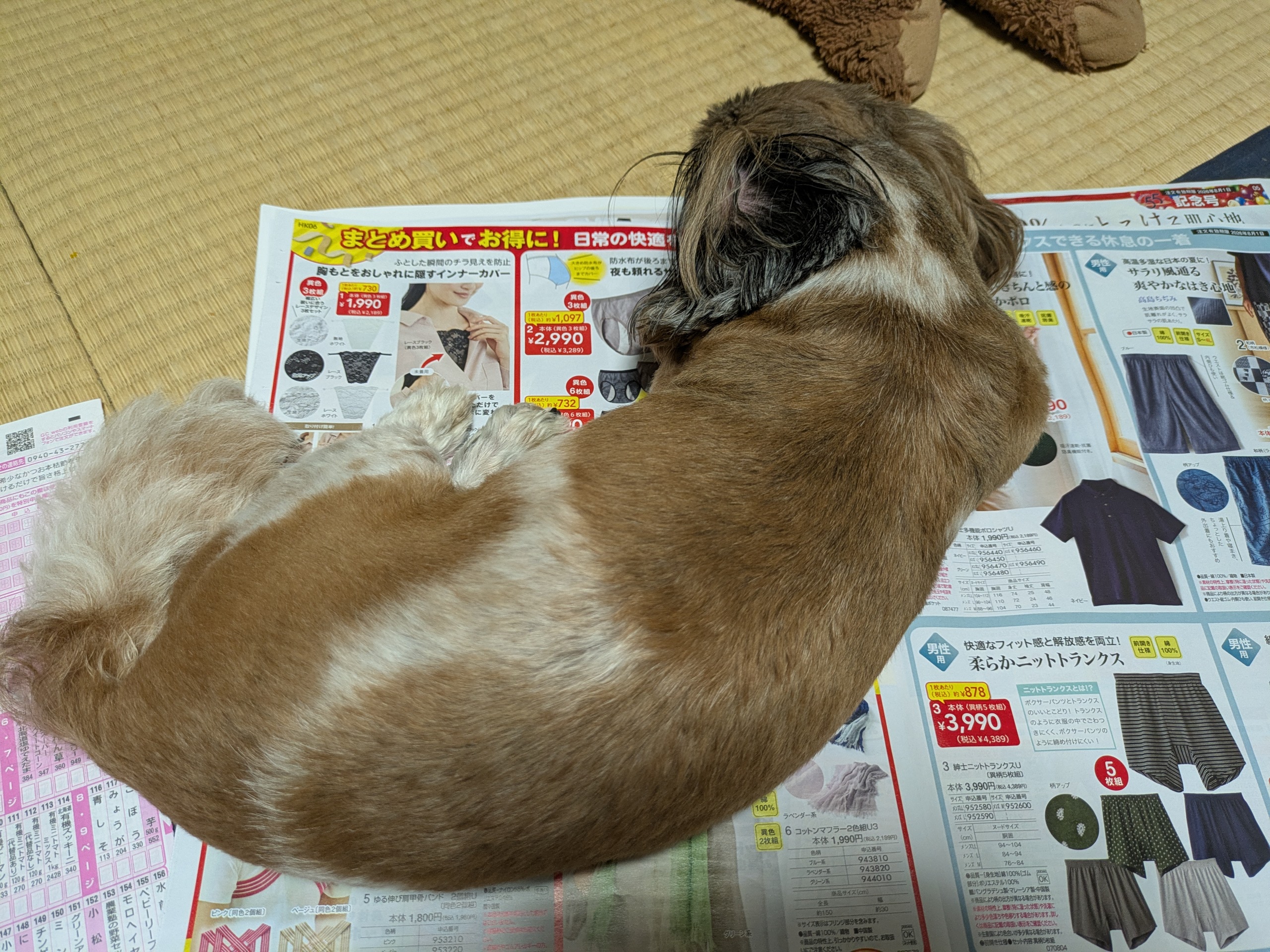 ３タスク