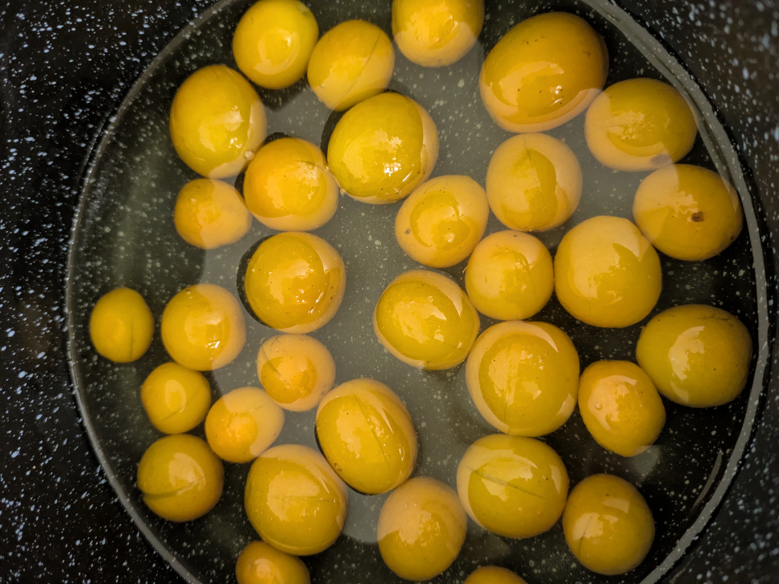 金柑とせとかみかん