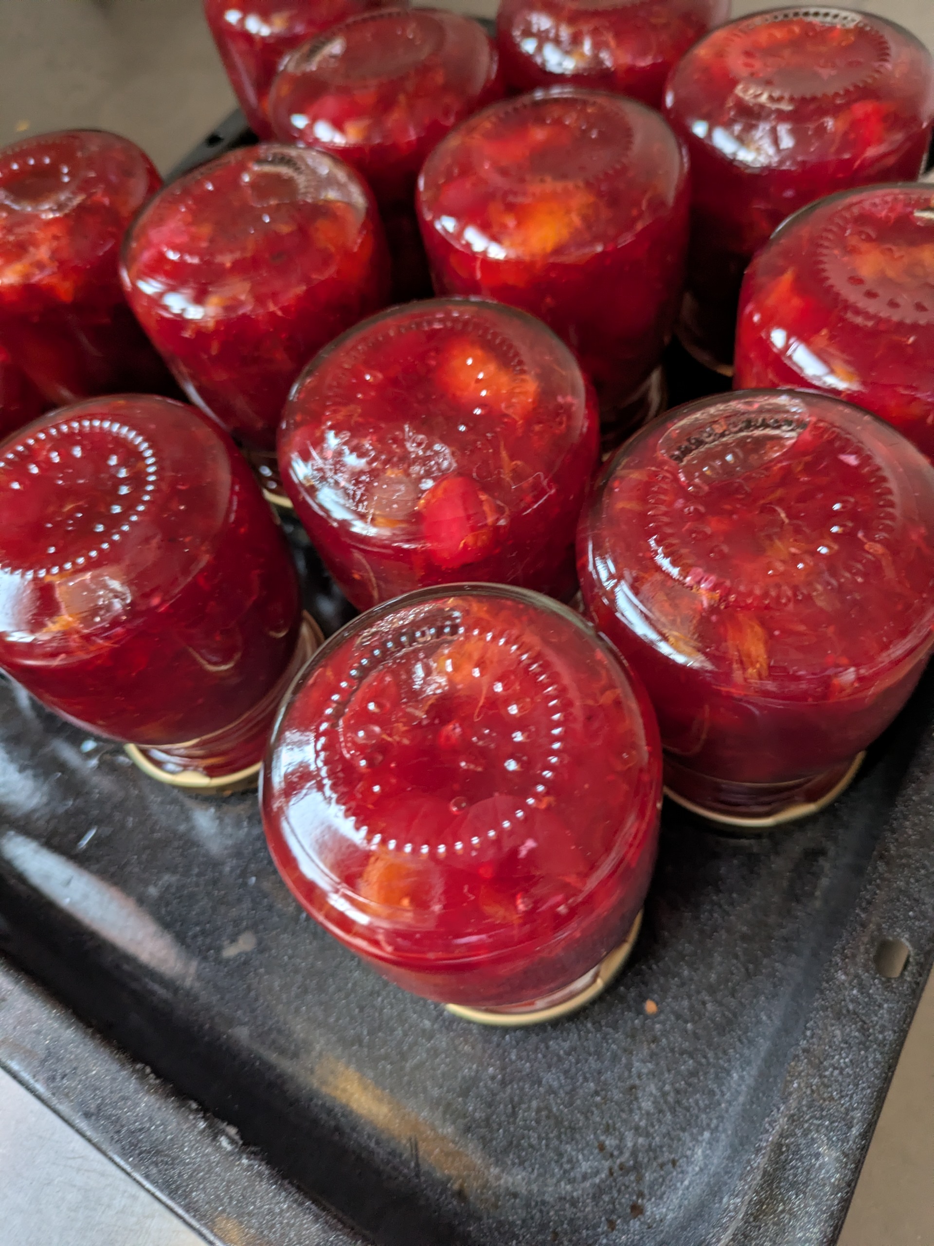 クランベリーオレンジ