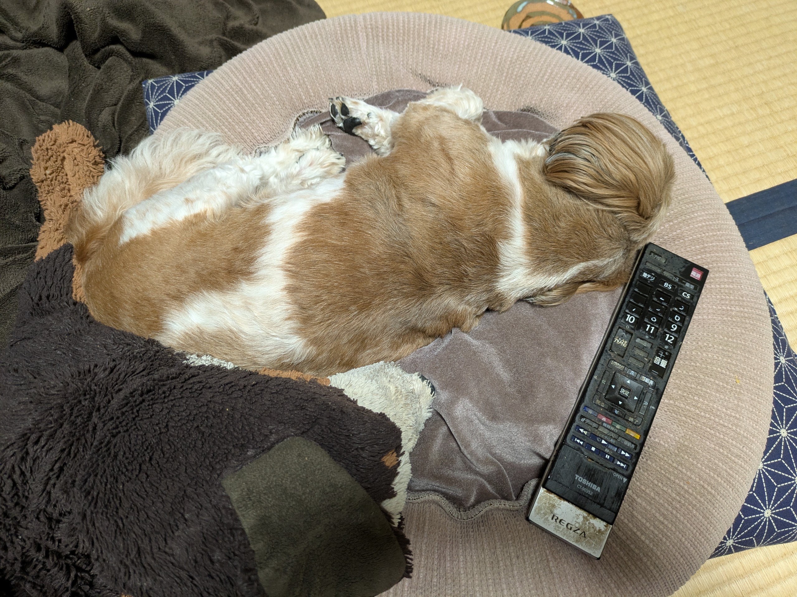 側に居ます