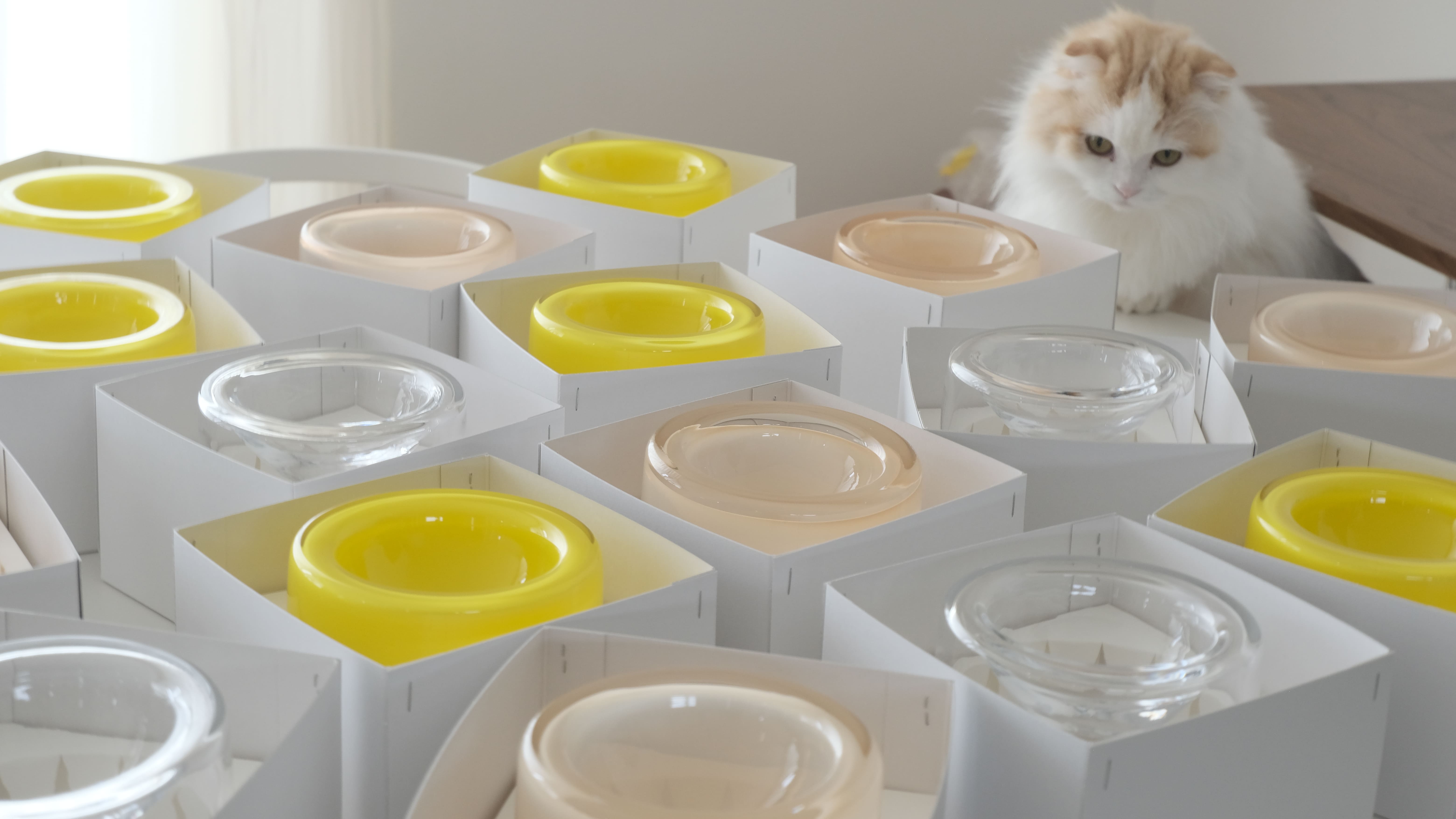 tofmofu 　 猫　フードボウル tofmofu