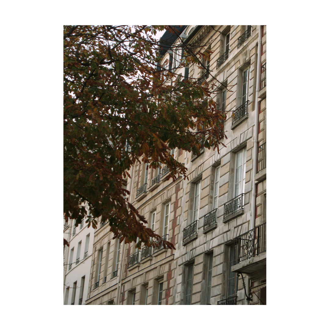 【10月発送作業のお休みのお知らせ🍂】