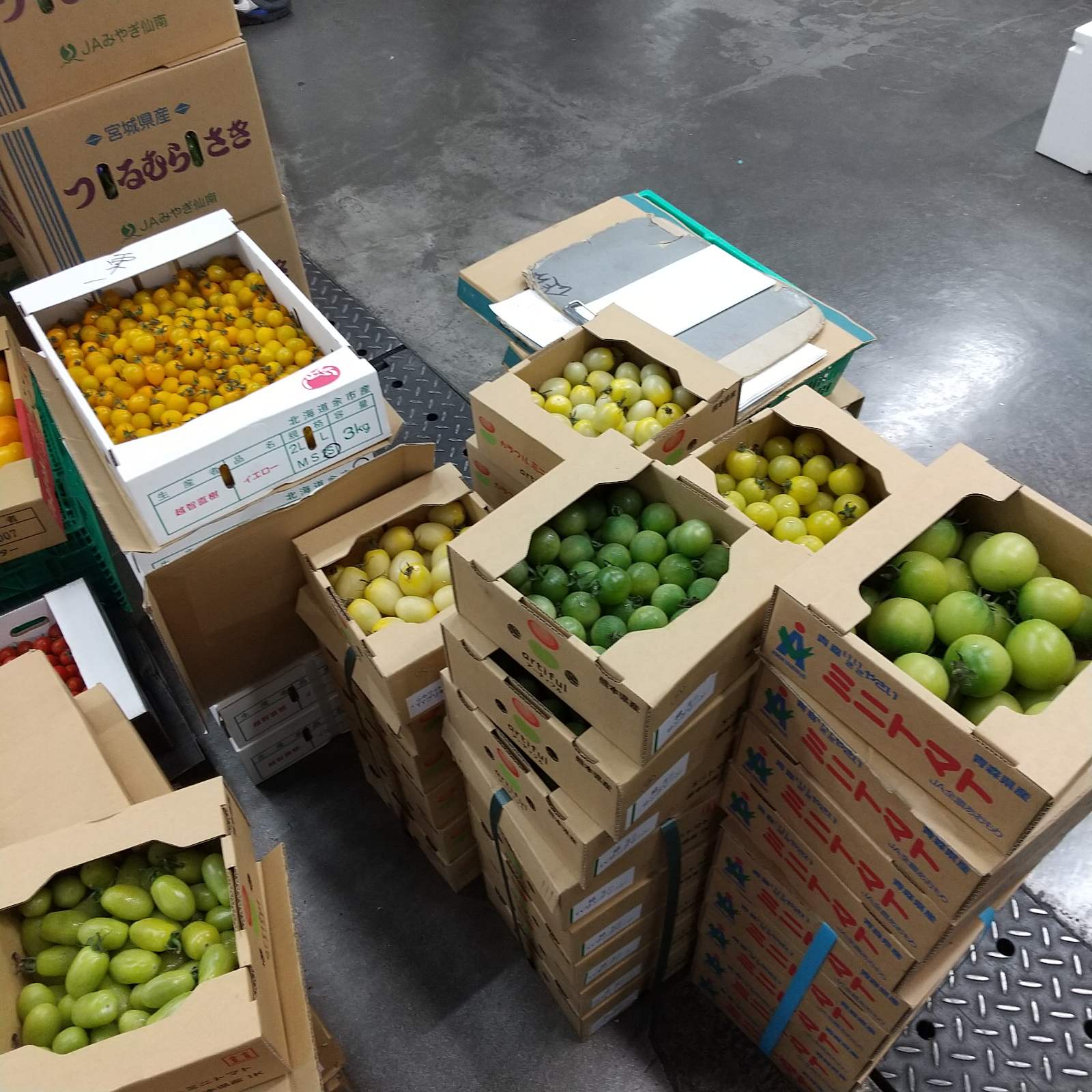 カラフルなトマトも販売しております