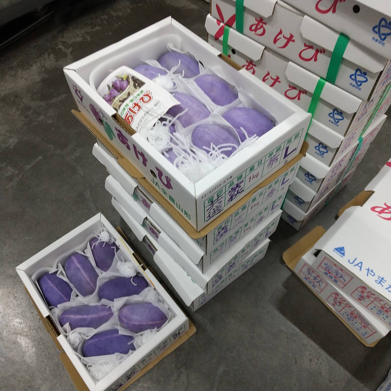 今年もあけびの入荷が始まりました！