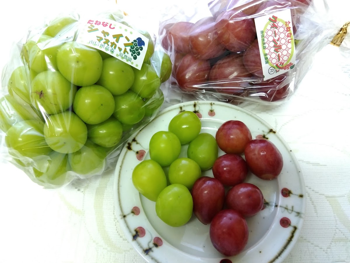 長野県だけの葡萄　クイーンルージュの発売です
