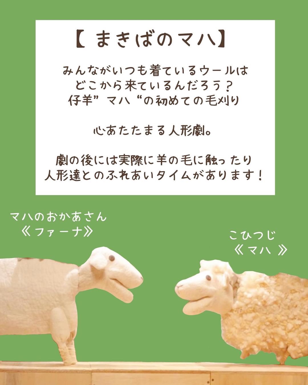【人形劇】仔羊”マハ”はじめての毛刈りのお話『まきばのマハ 』＊6/23(日)＊