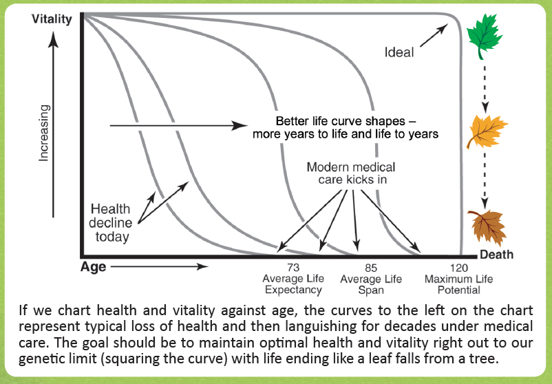 Wysong Optimal Health Program