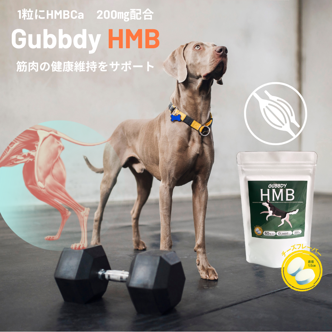 HMBは科学的根拠に基づいています。