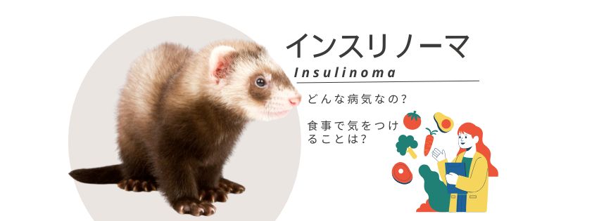 『インスリノーマ』と食事管理