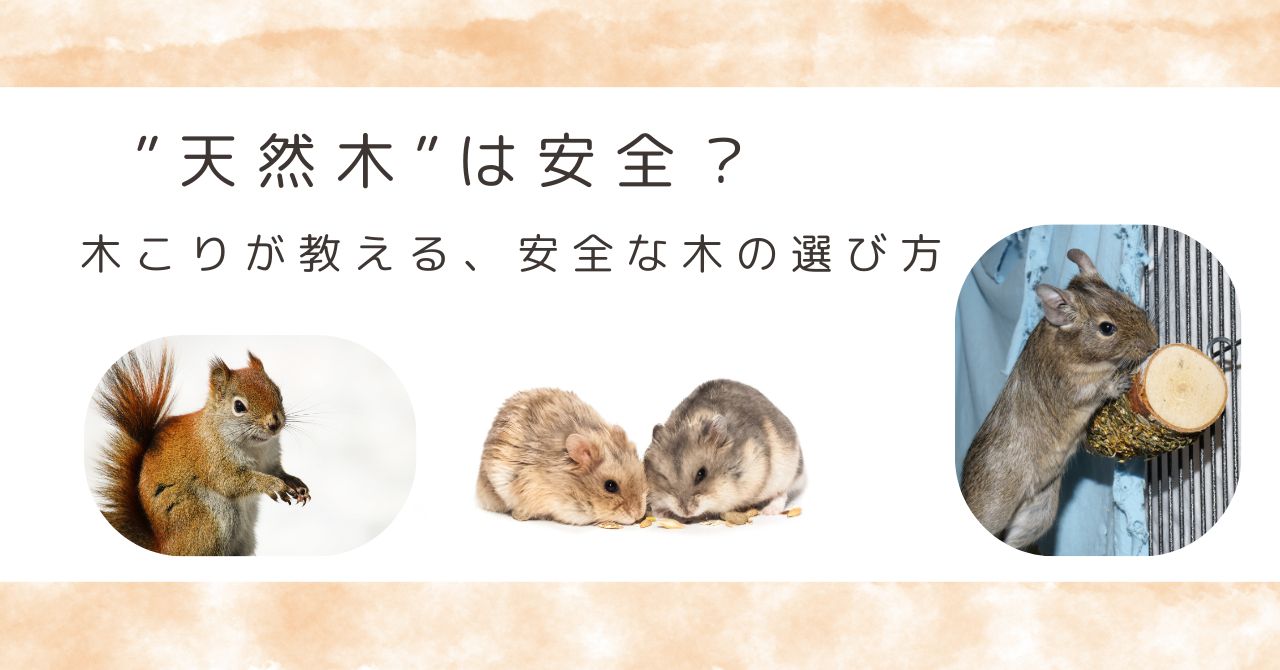 木こりが教える、天然木は安全なのか？　～ペットが安心してかじれる木材は？　その①～