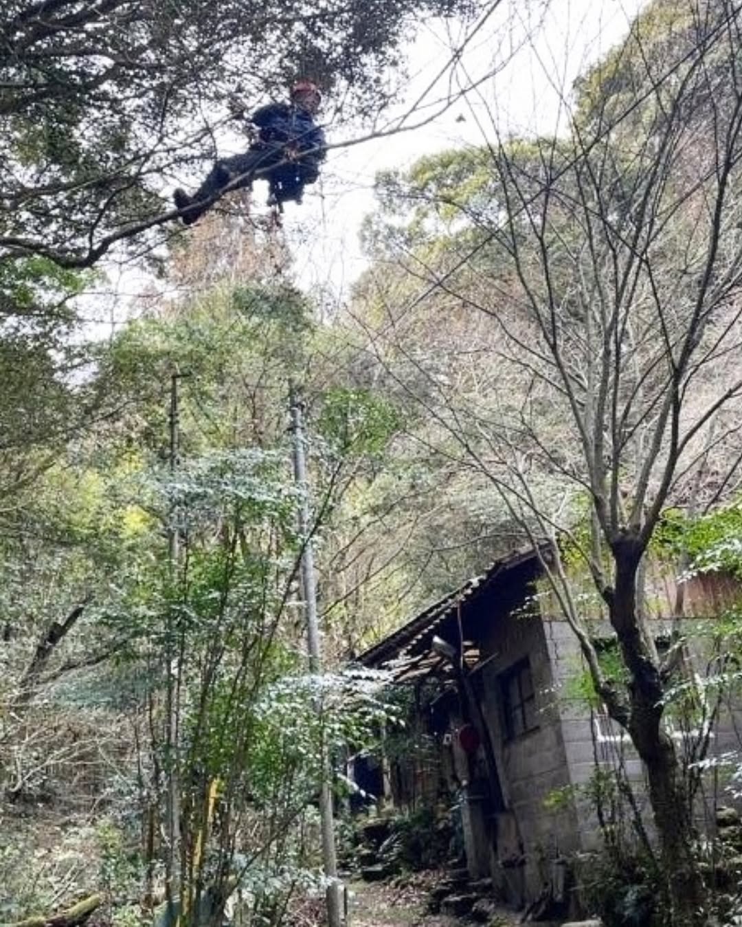 福岡出張編　実家の森の中のお家をレスキューしてきました