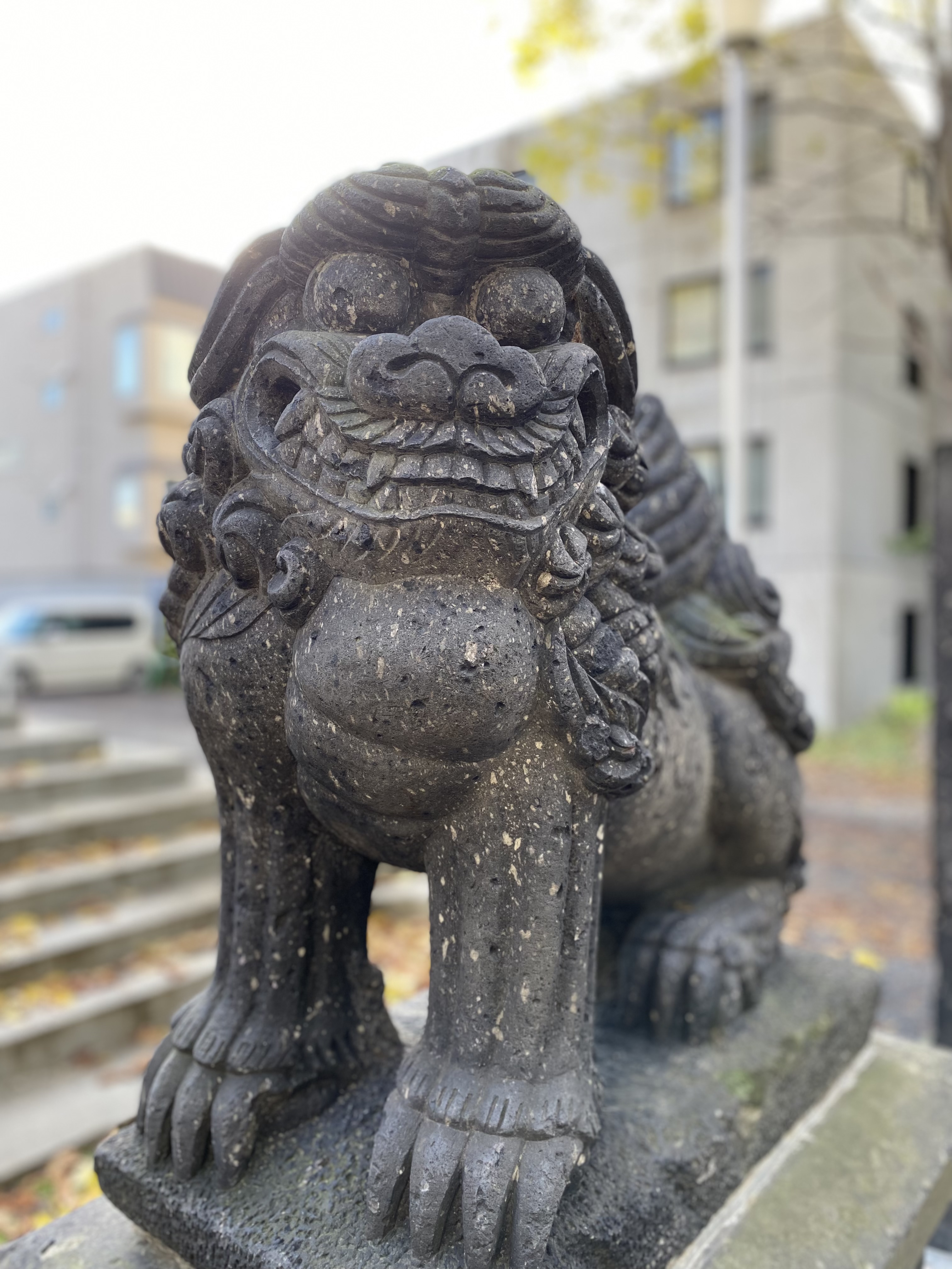 anelaはアロマコーディネーターの資格も持っています