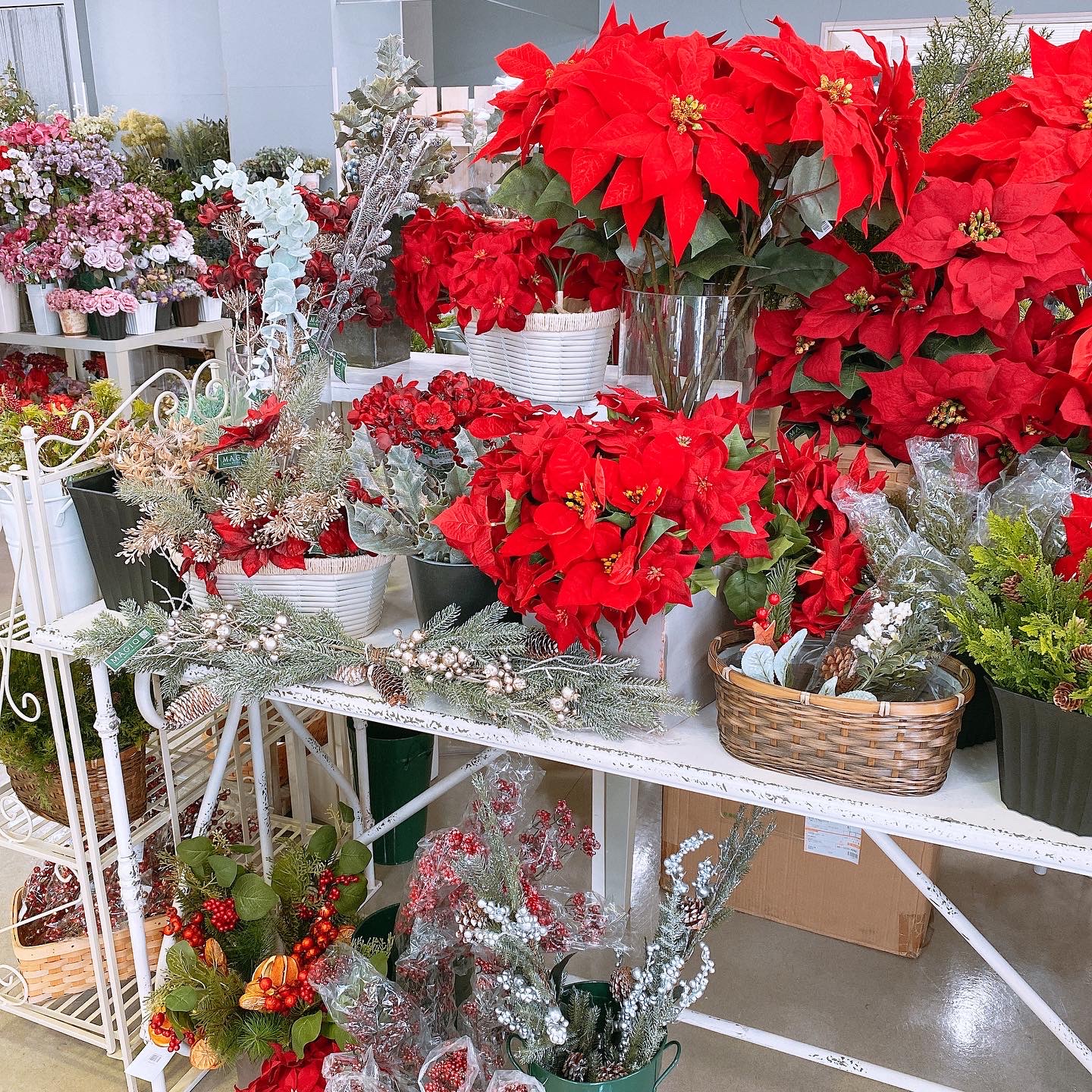 天使の仕入れ🌸