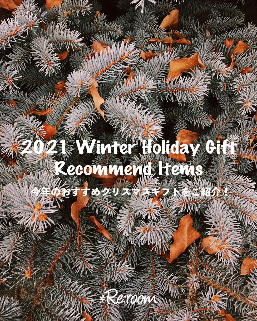 2021 Winter Holiday Gift Recommend Items
