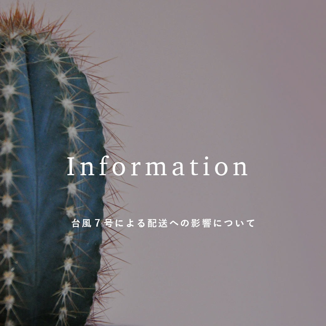 台風７号による配送への影響について