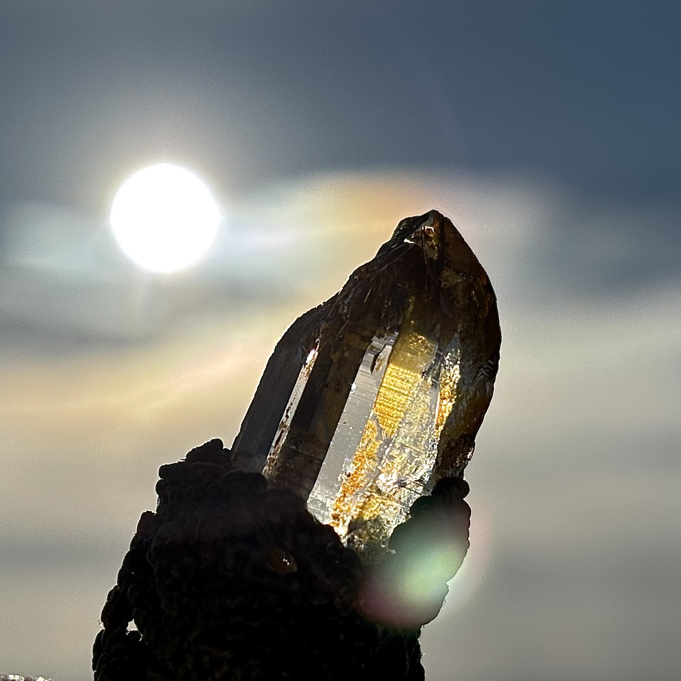 ブログ新設しました。