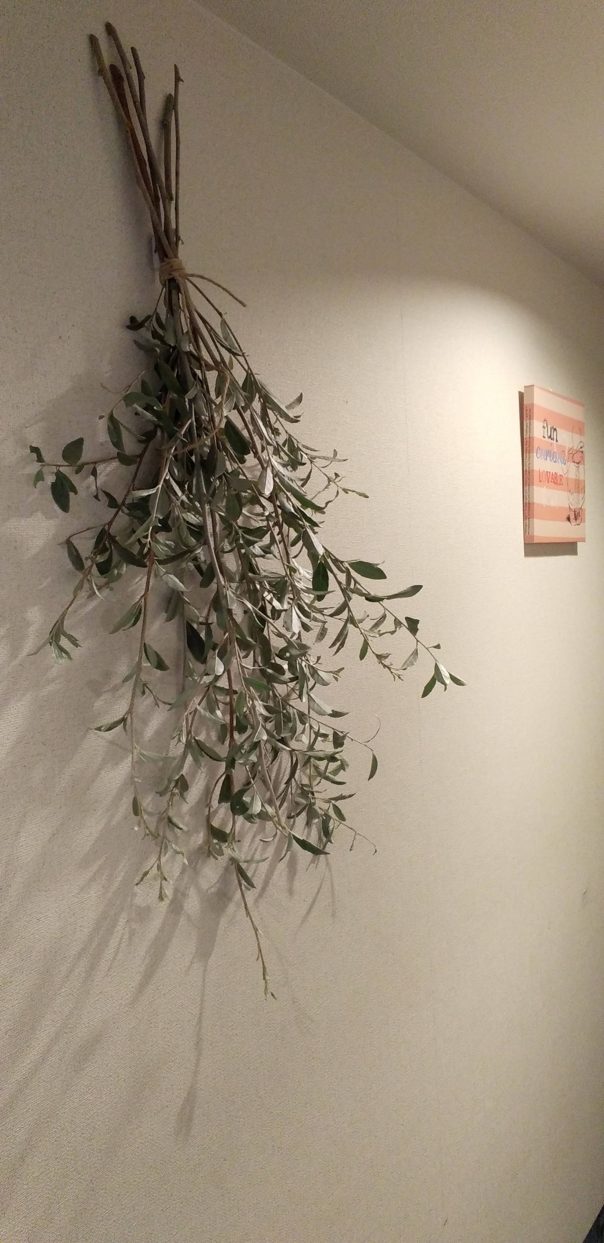 一時休業のお知らせ