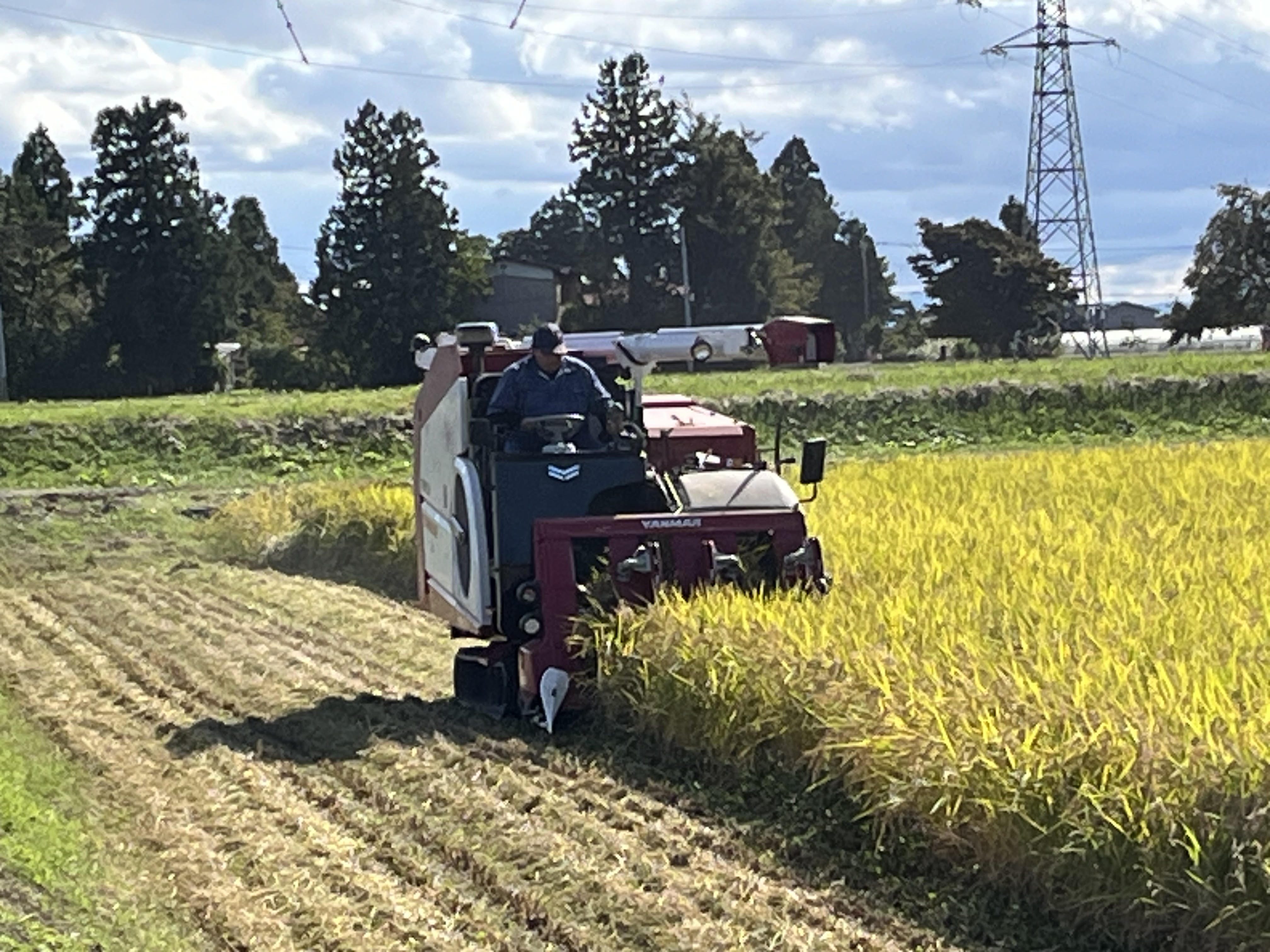 今年の寄付率は、昨年の5%から10%にしました