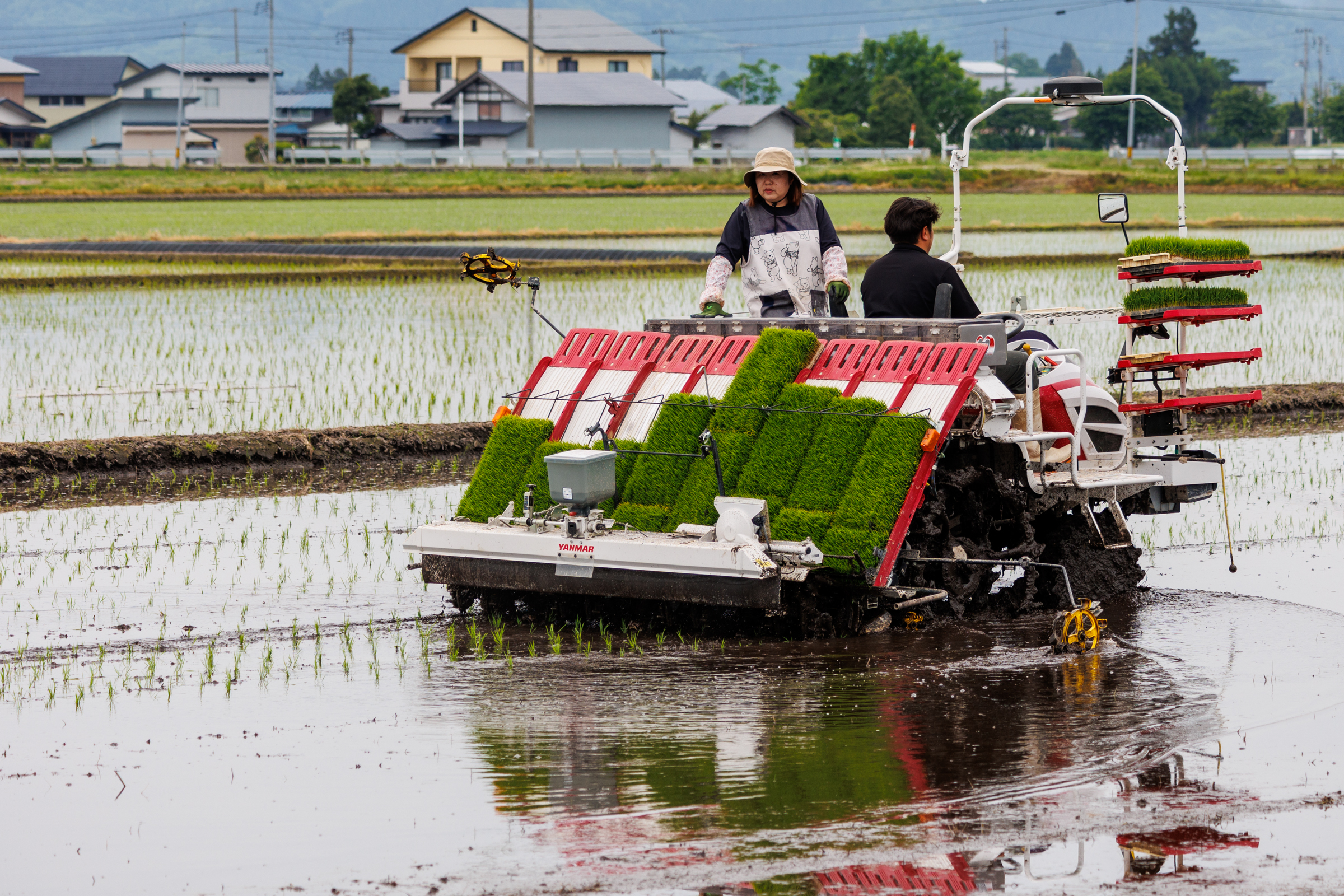 令和7年度産 秋田産 あきたこまち 予約開始