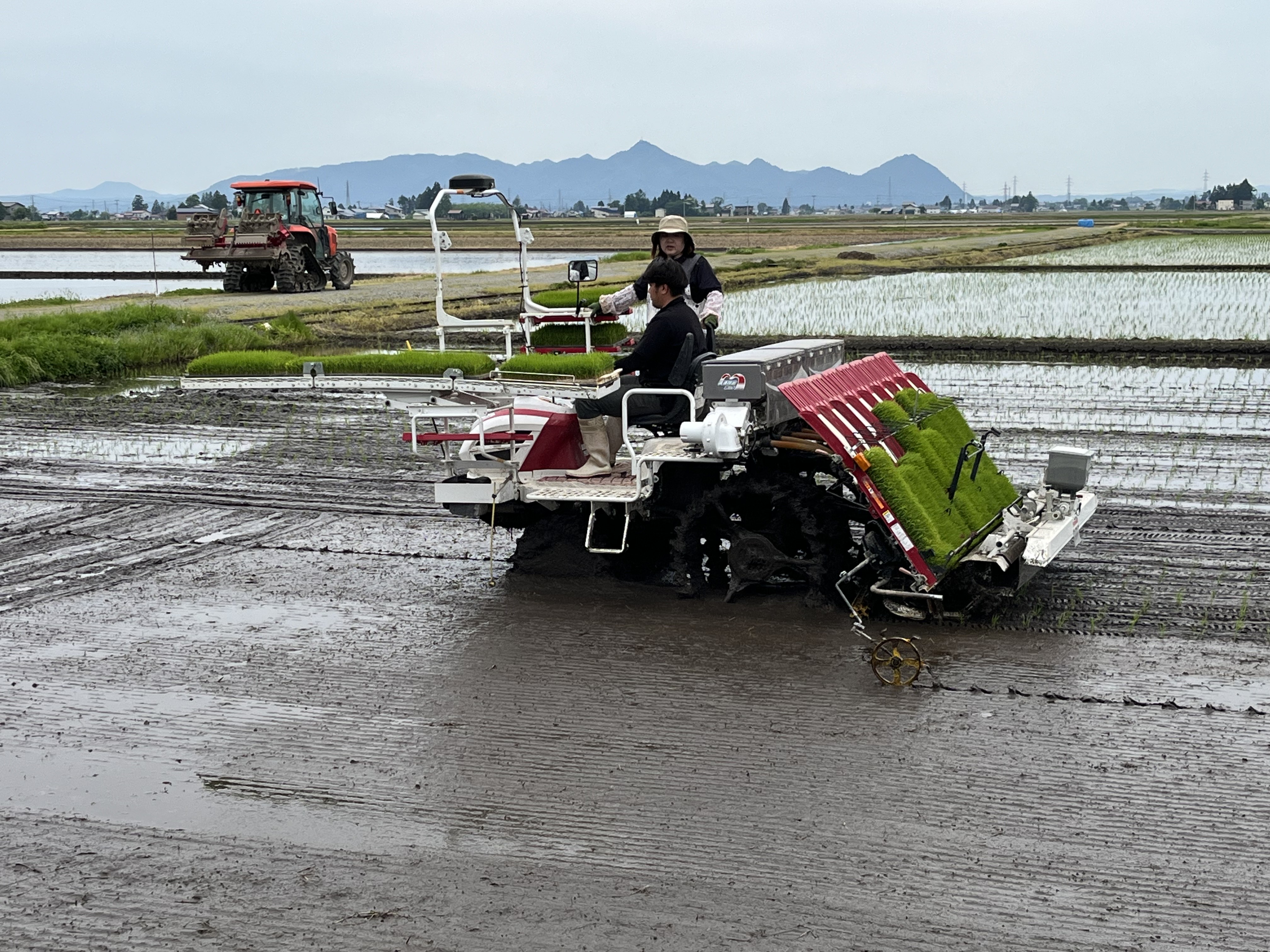 田植えに行ってきました。いよいよ始まりです。
