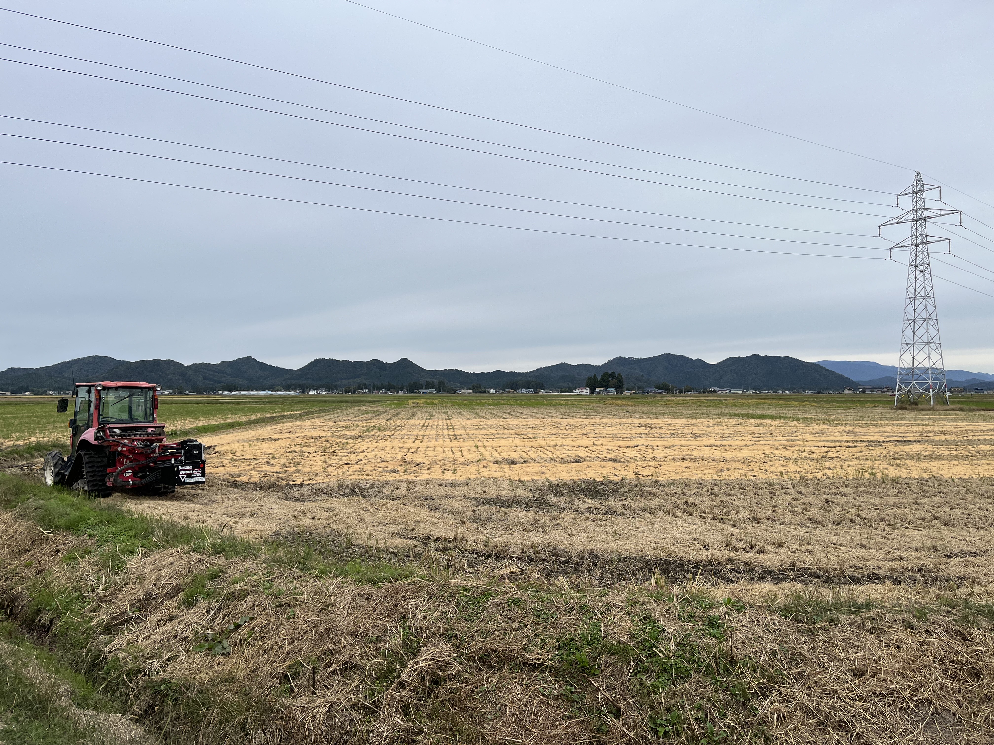 農家さんのご厚意により価格を1000円(5キロ)安く設定できました。