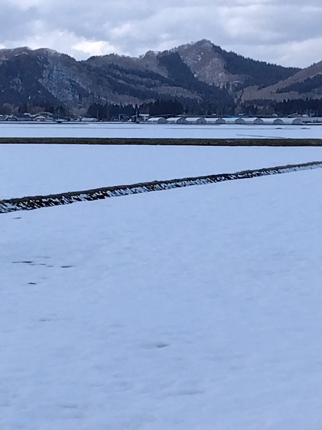 例年より少ないくらいの雪だそうです。夏場の水不足が心配だと佐々木さんが話されていました。