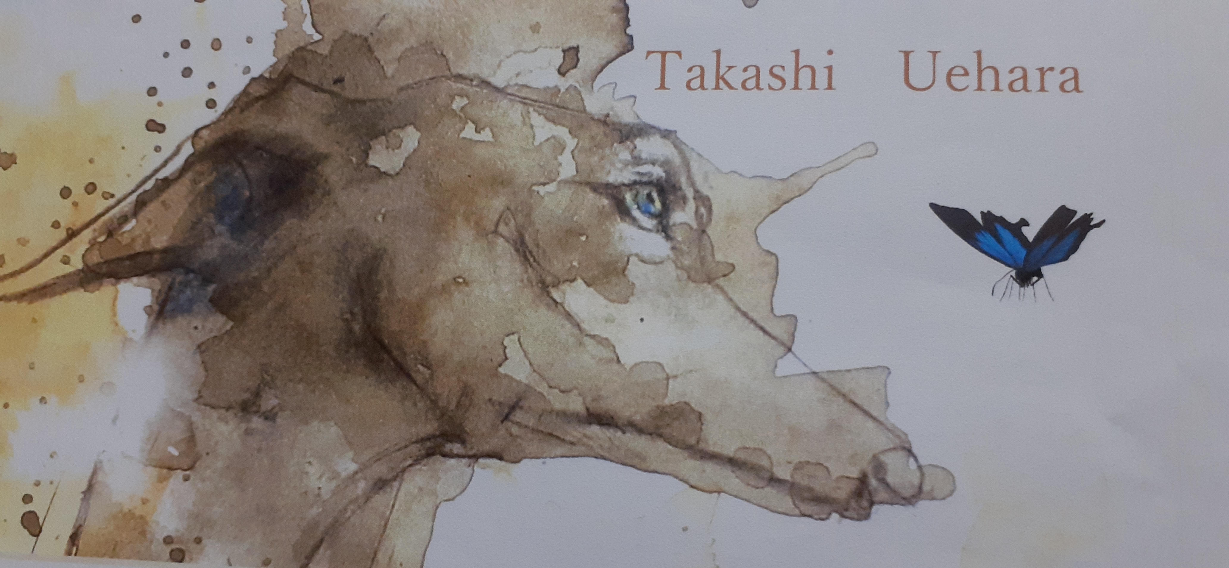 Takashi Uehara　exhibition　　　　　5月16日(火)~5月30日(火)