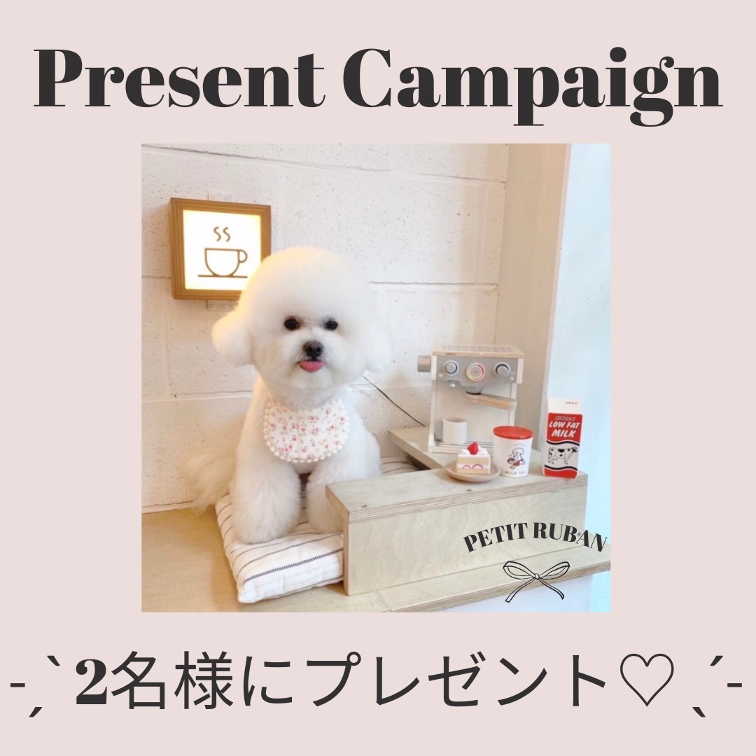 プレゼントキャンペーン開催中！