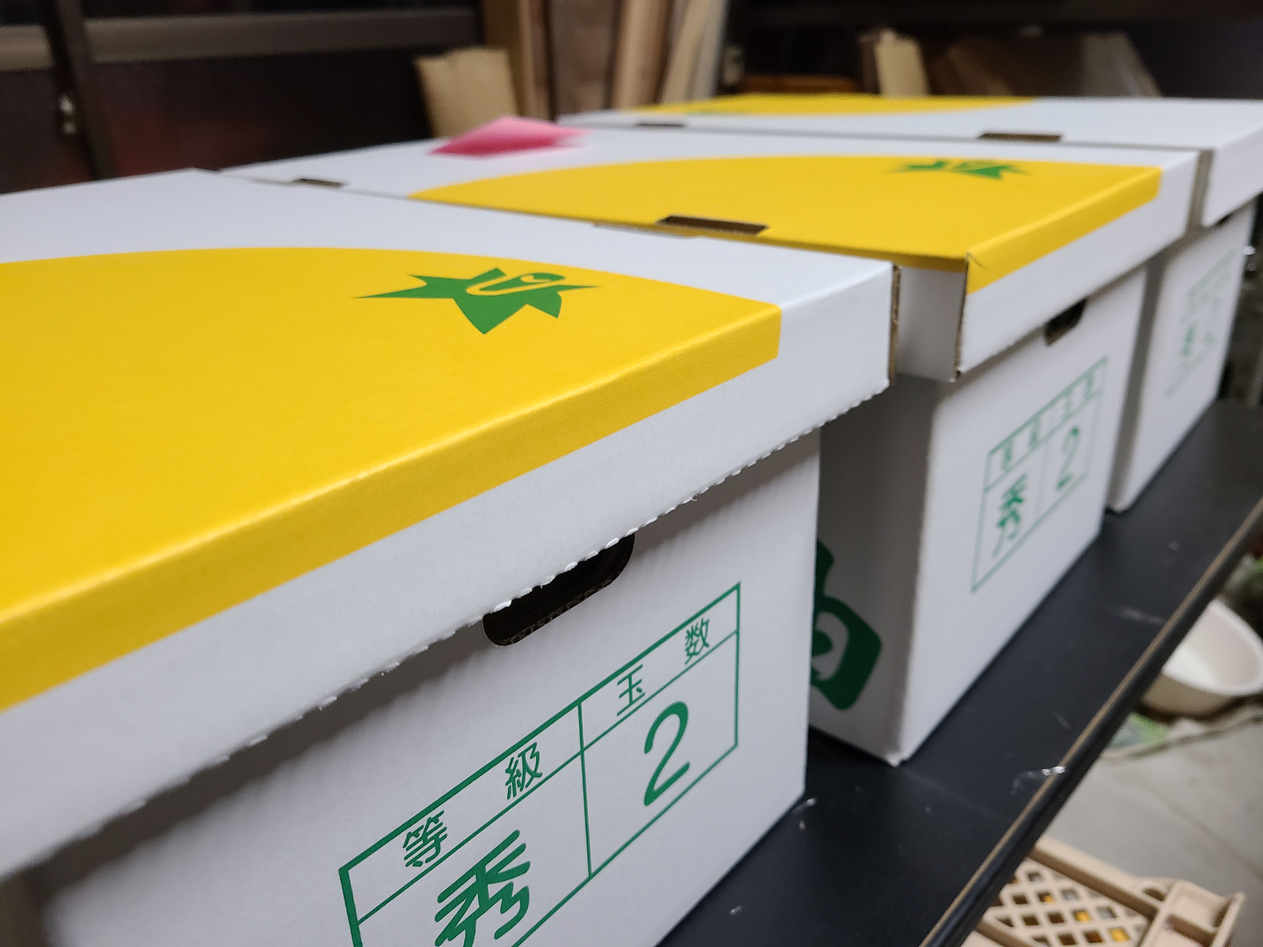 晩白柚発送開始！　12月15日