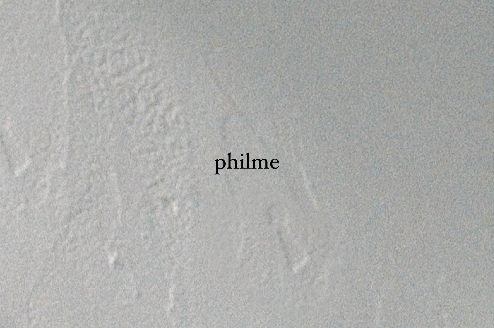 【information - ブランド終了のお知らせ】