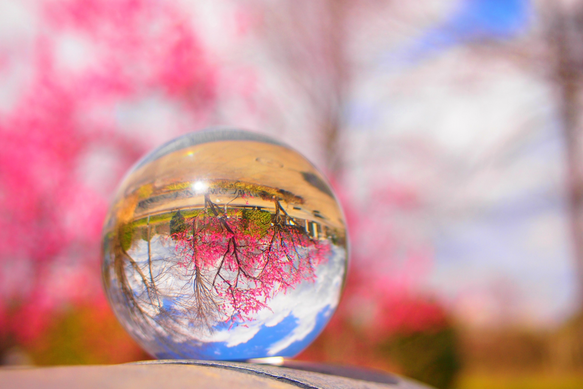 〜最新情報〜3月19日~