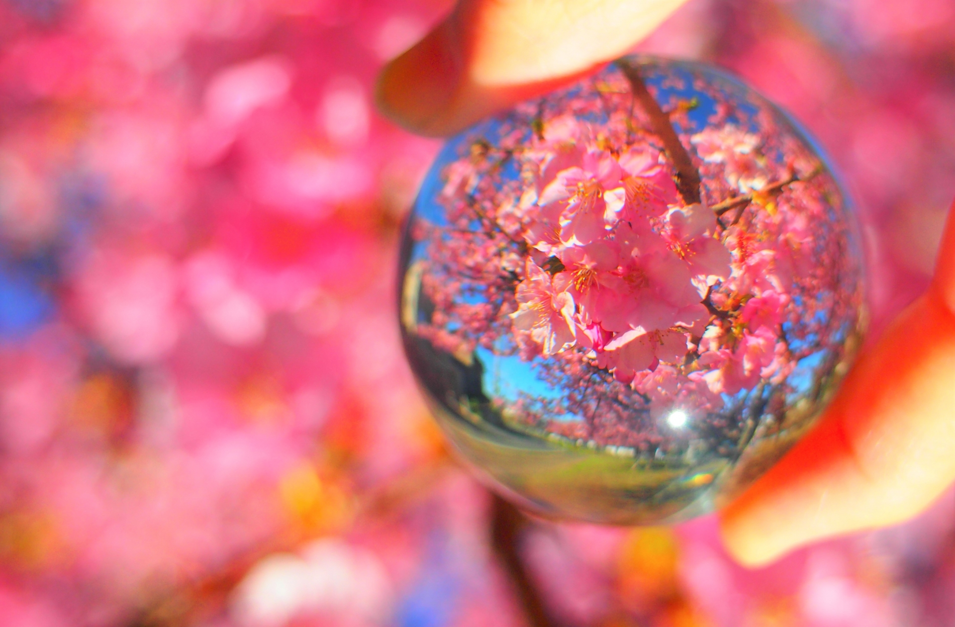 ~ꫛꫀꪝ✧‧˚最新情報~