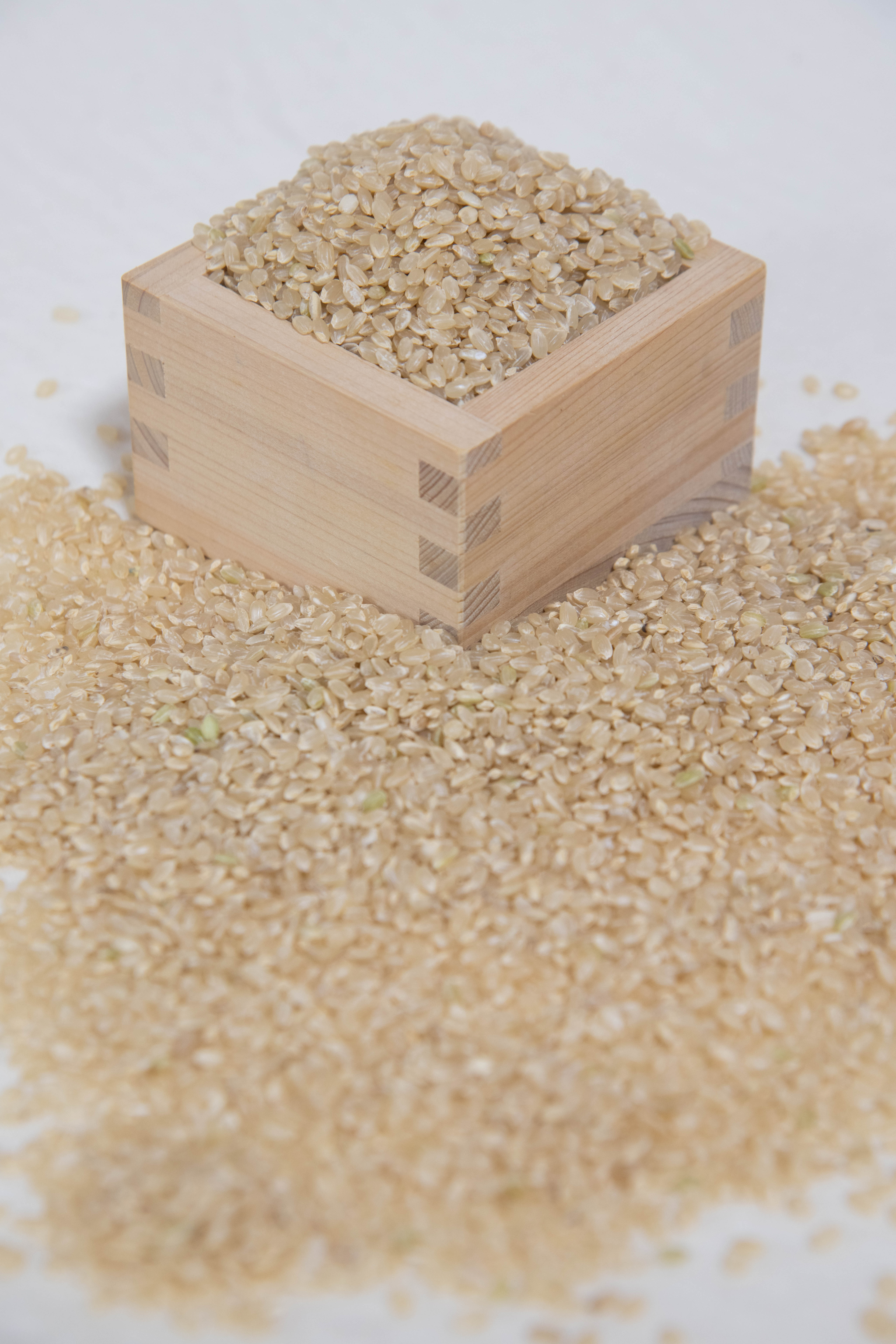米作り（りょう農園の米作り こだわり）