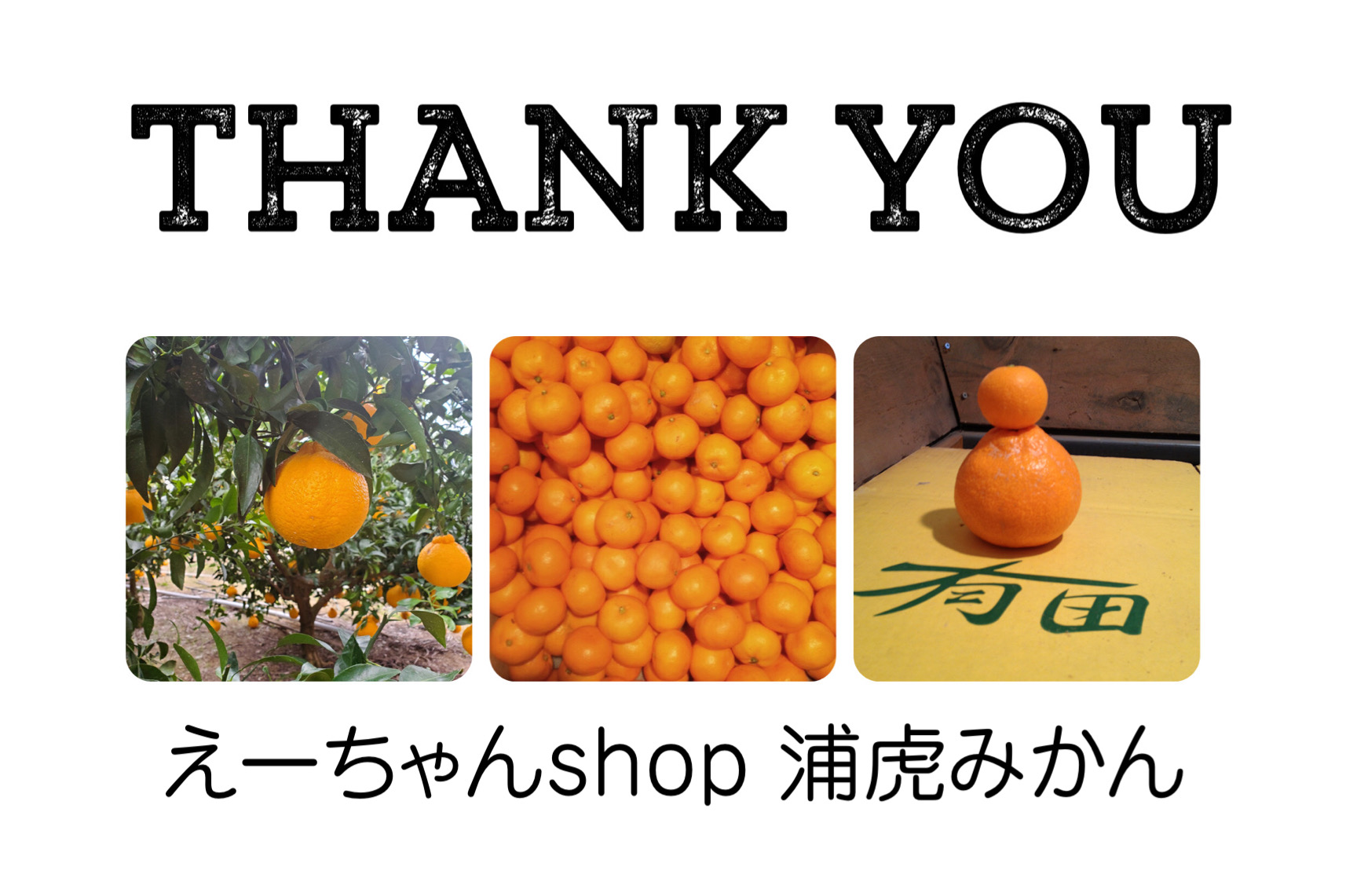 ネットショップ始めました