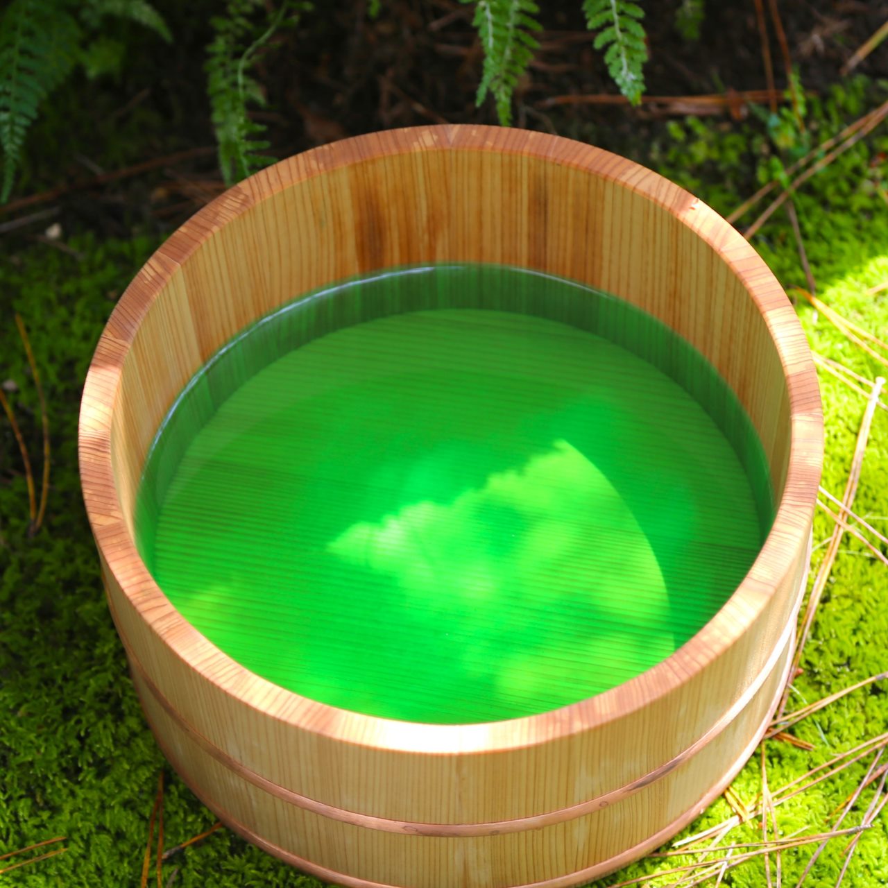 『にぎたえしるく湯－森の香り』が入荷しました🎁